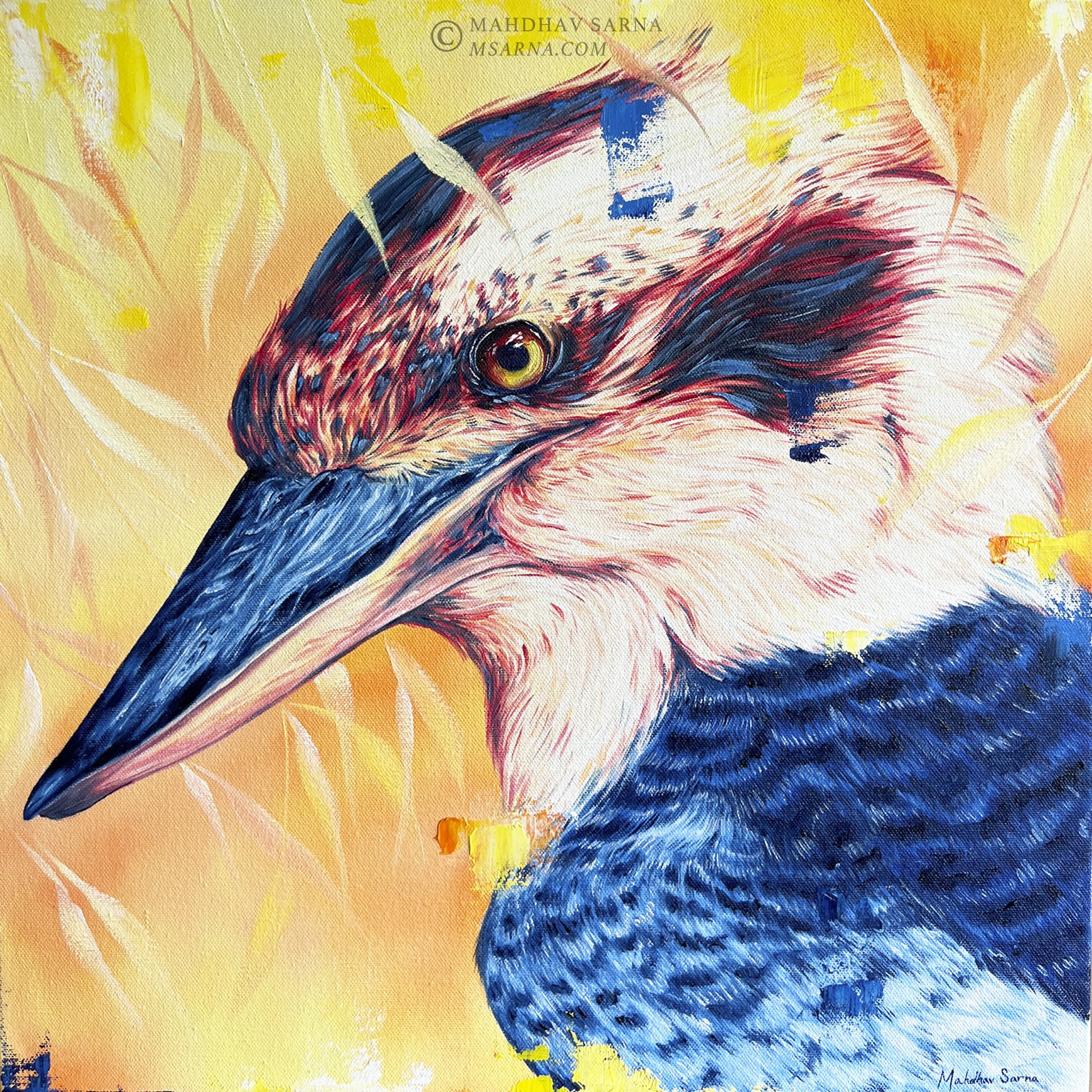 kookaburra oil painting kbra wildlife art mahdhav sarna 01.jpg