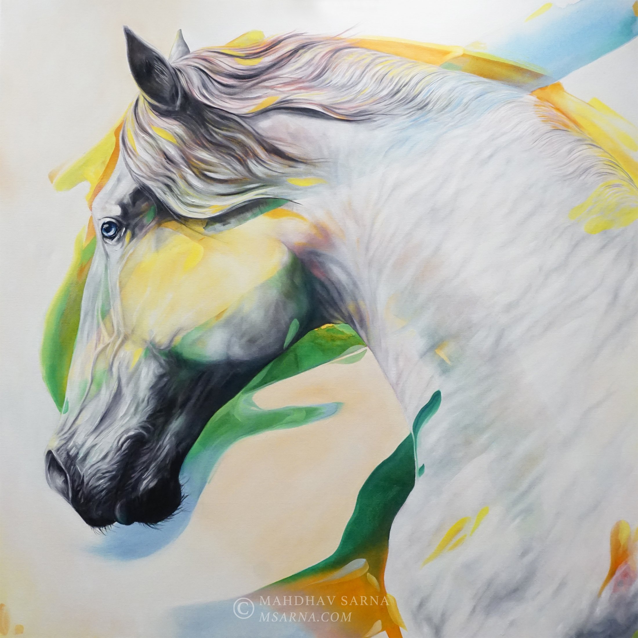 horse oil painting wldk wildlife art mahdhav sarna 01.jpg