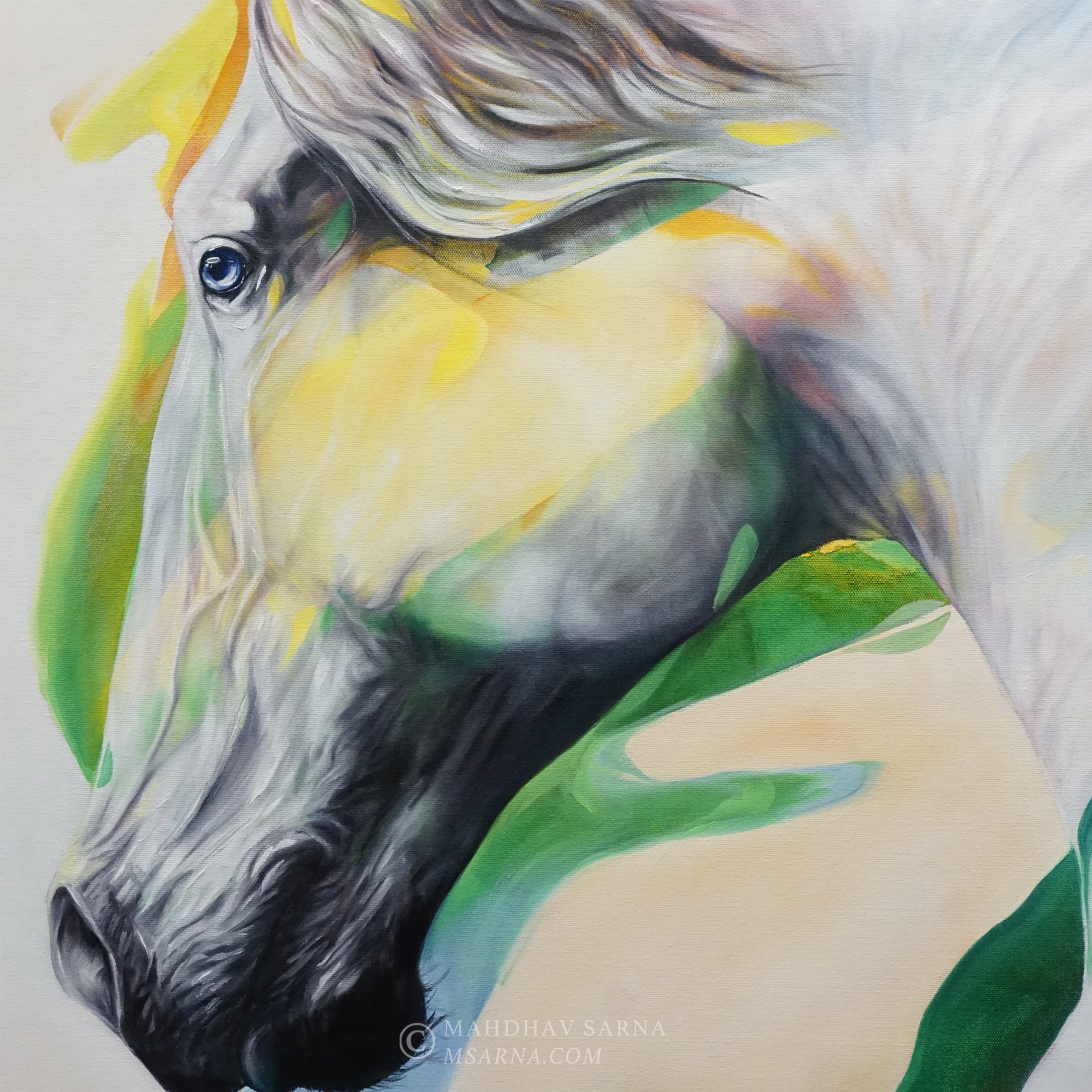 horse oil painting wldk wildlife art mahdhav sarna 02.jpg