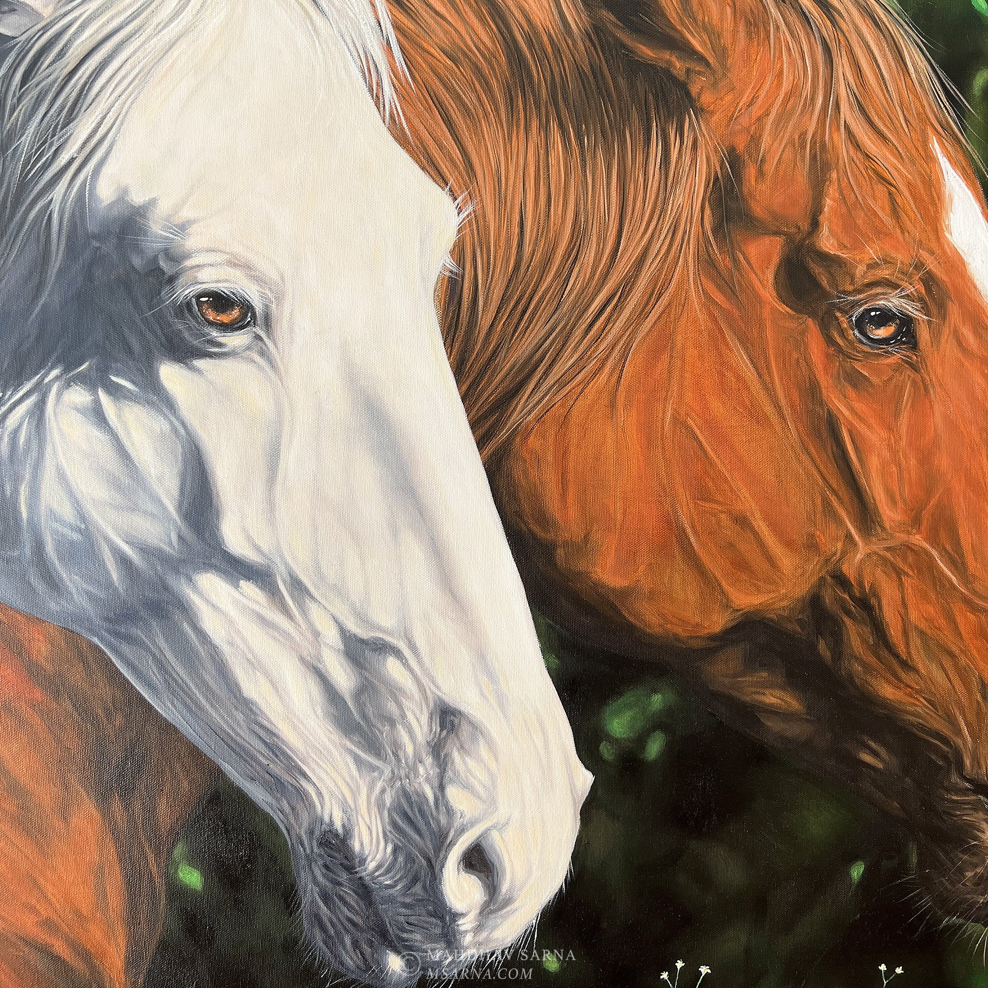 horse oil painting copt wildlife art mahdhav sarna 02.jpg