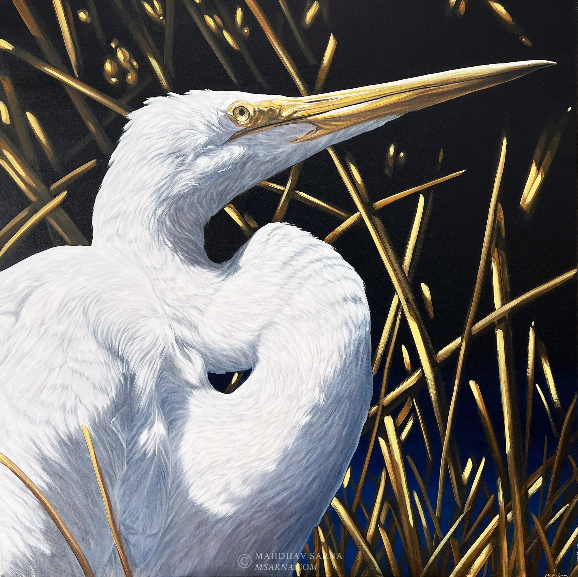 egret oil painting glde wildlife art mahdhav sarna 01.jpg