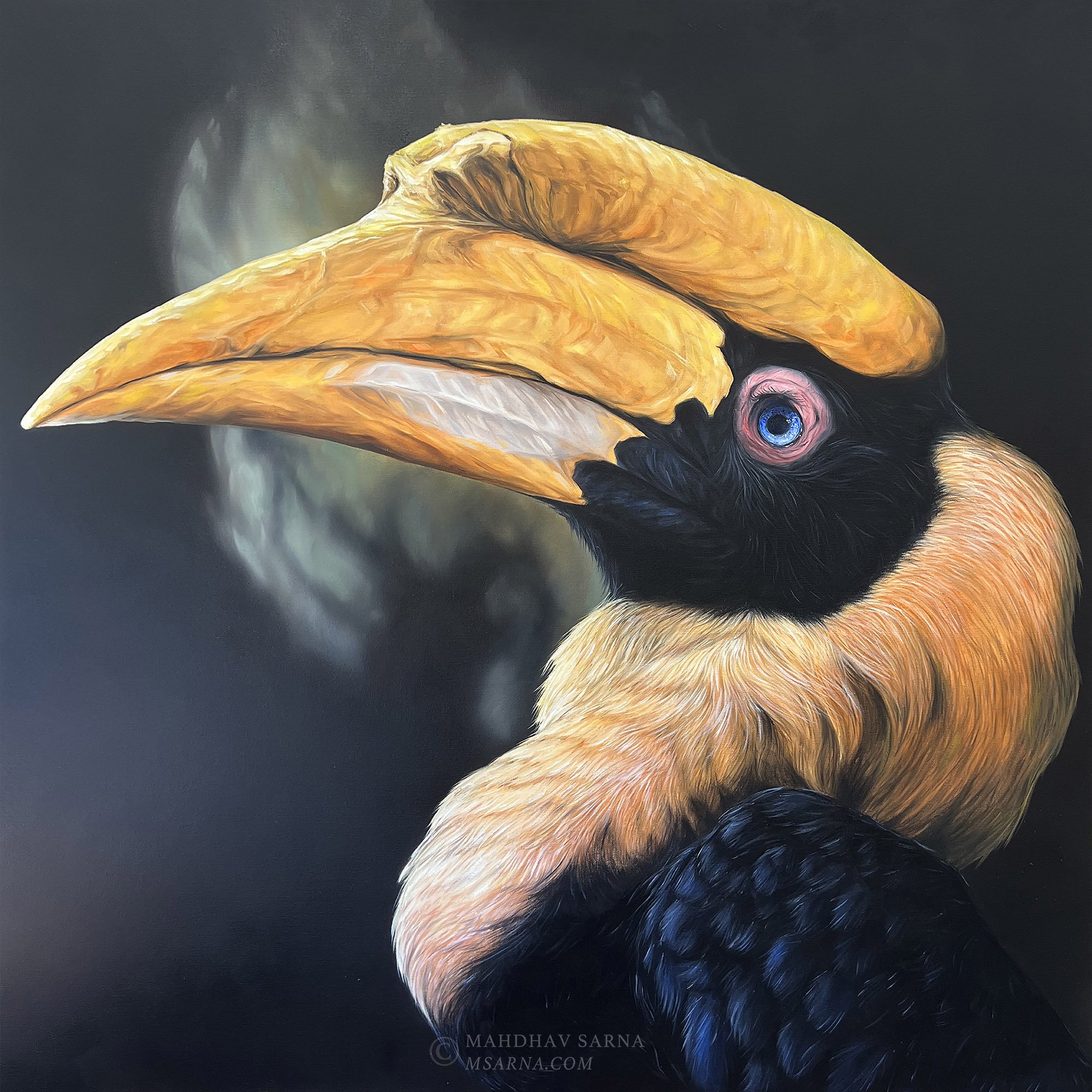 hornbill oil painting pois wildlife art mahdhav sarna 01.jpg
