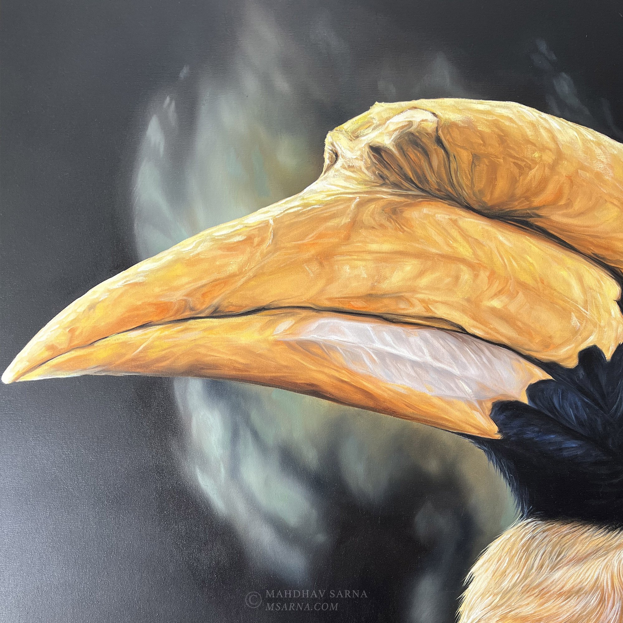 hornbill oil painting pois wildlife art mahdhav sarna 02.jpg