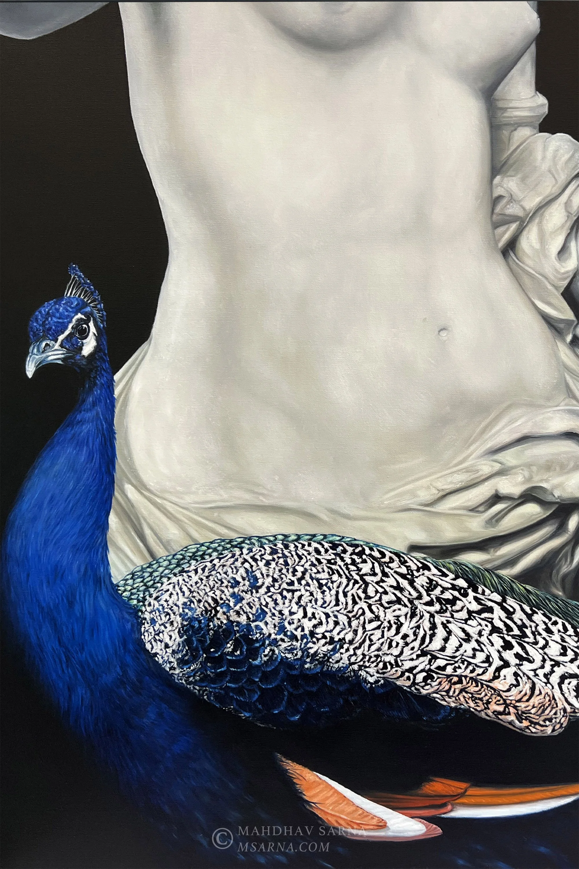 venus peacock butterfly oil painting buty wildlife art mahdhav sarna 02.jpg