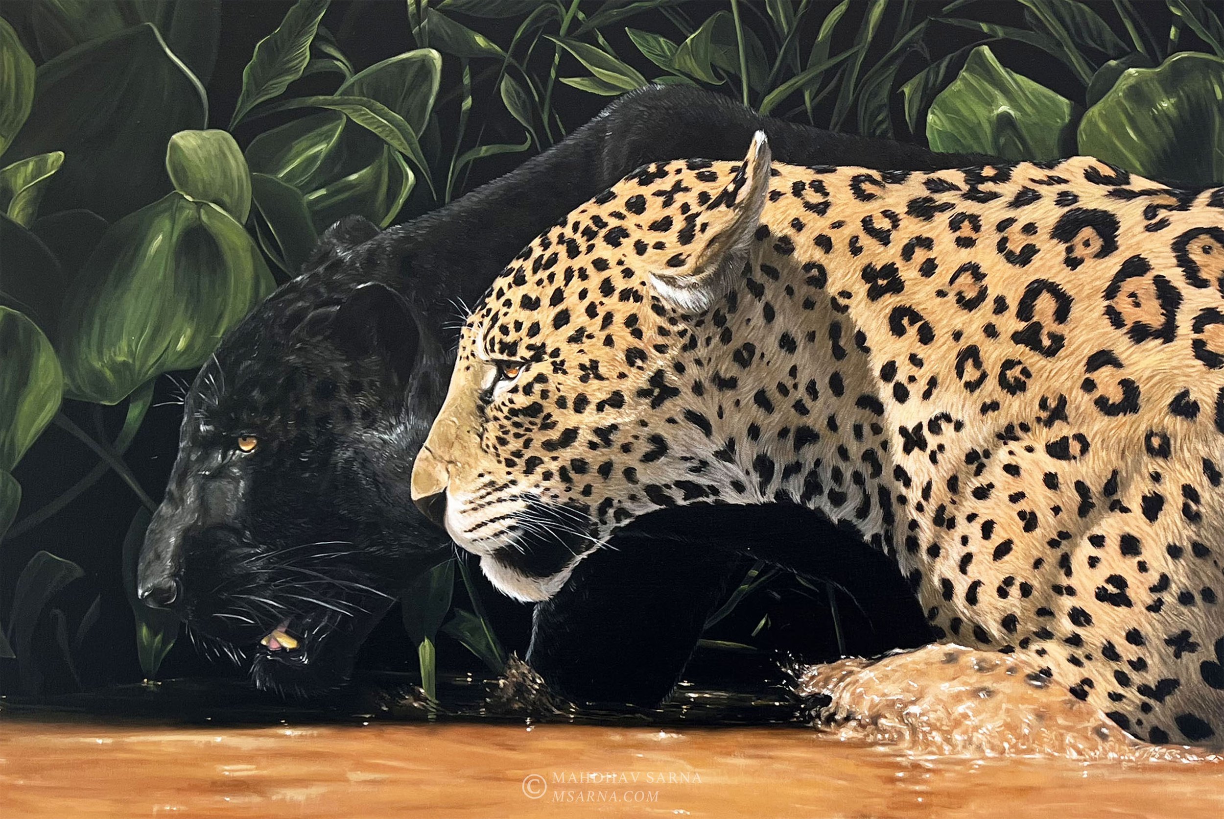 mayan jaguar panther oil painting kawj wildlife art mahdhav sarna 02.jpg