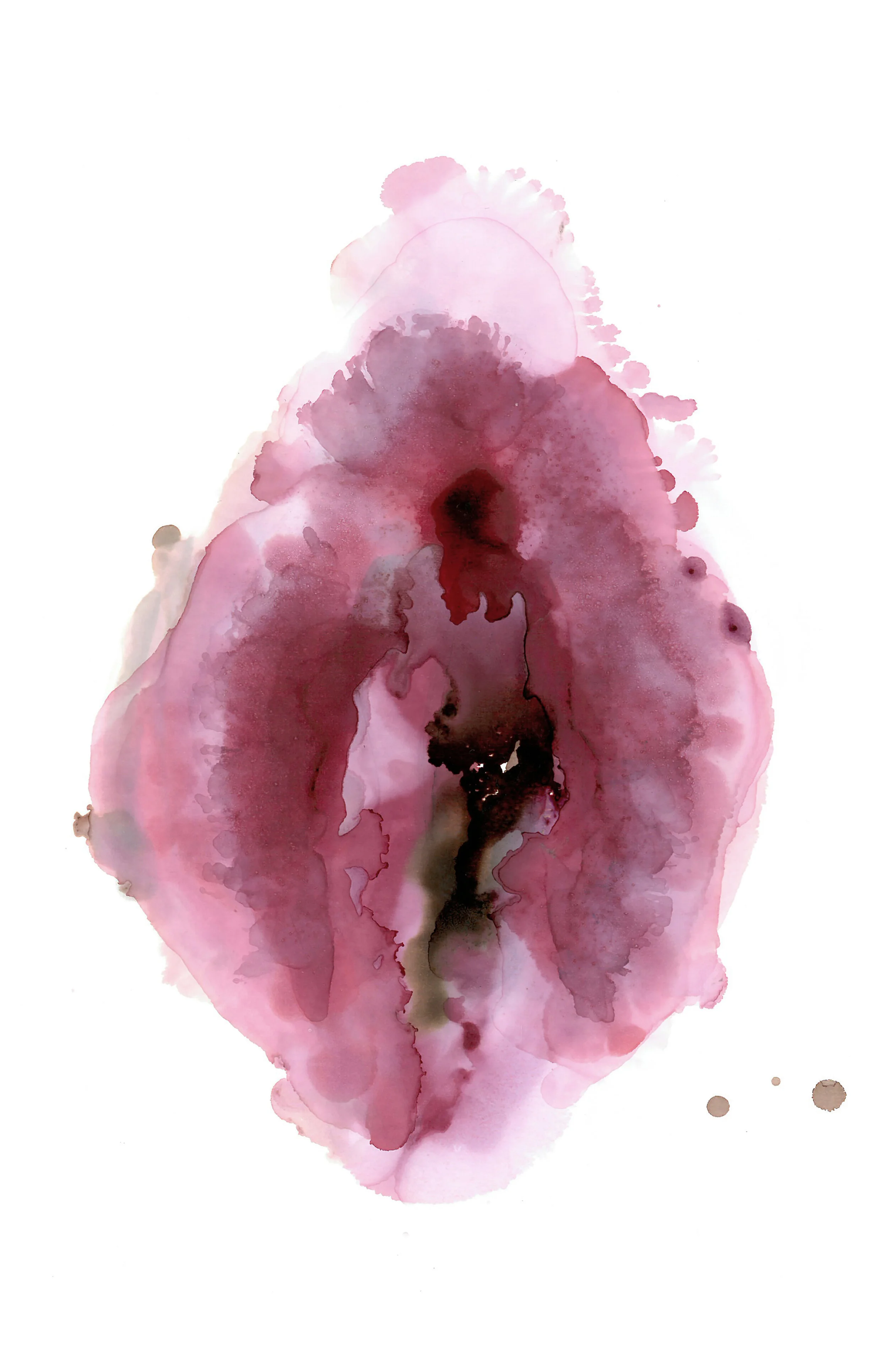 soften 11x17.jpg