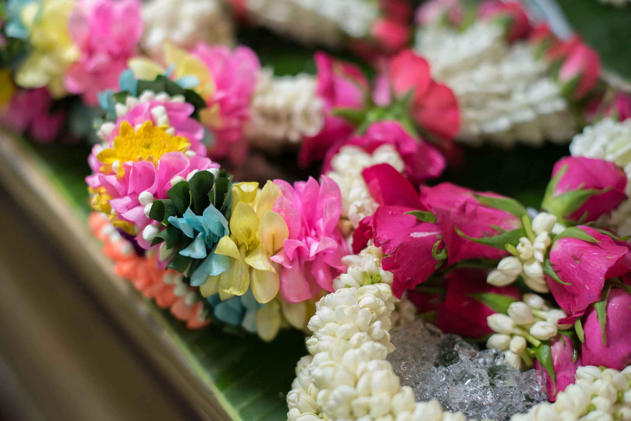 Bangkok Second Day Markets-16.JPG