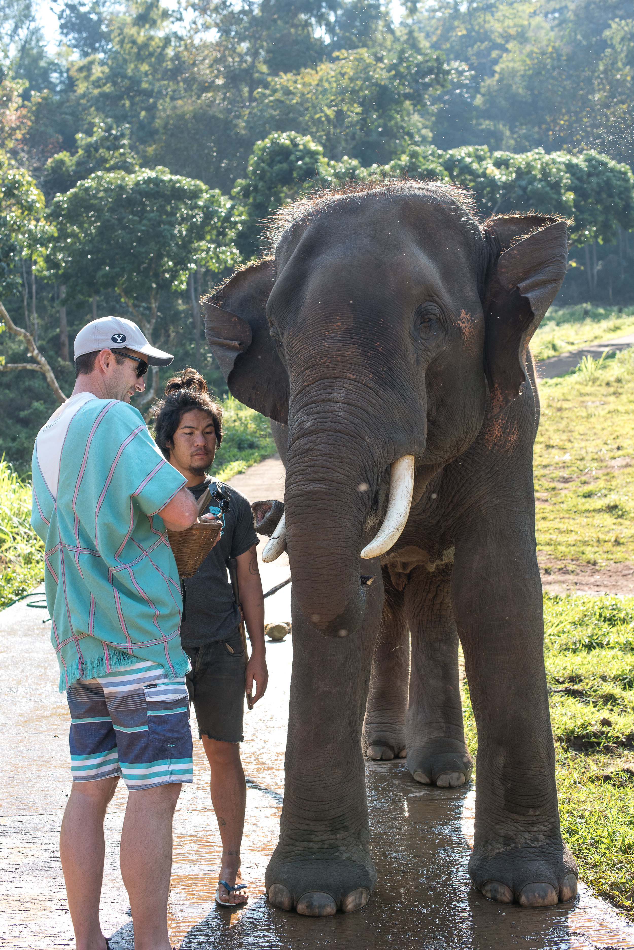 Chiang Mai Elephant Farm-28.JPG