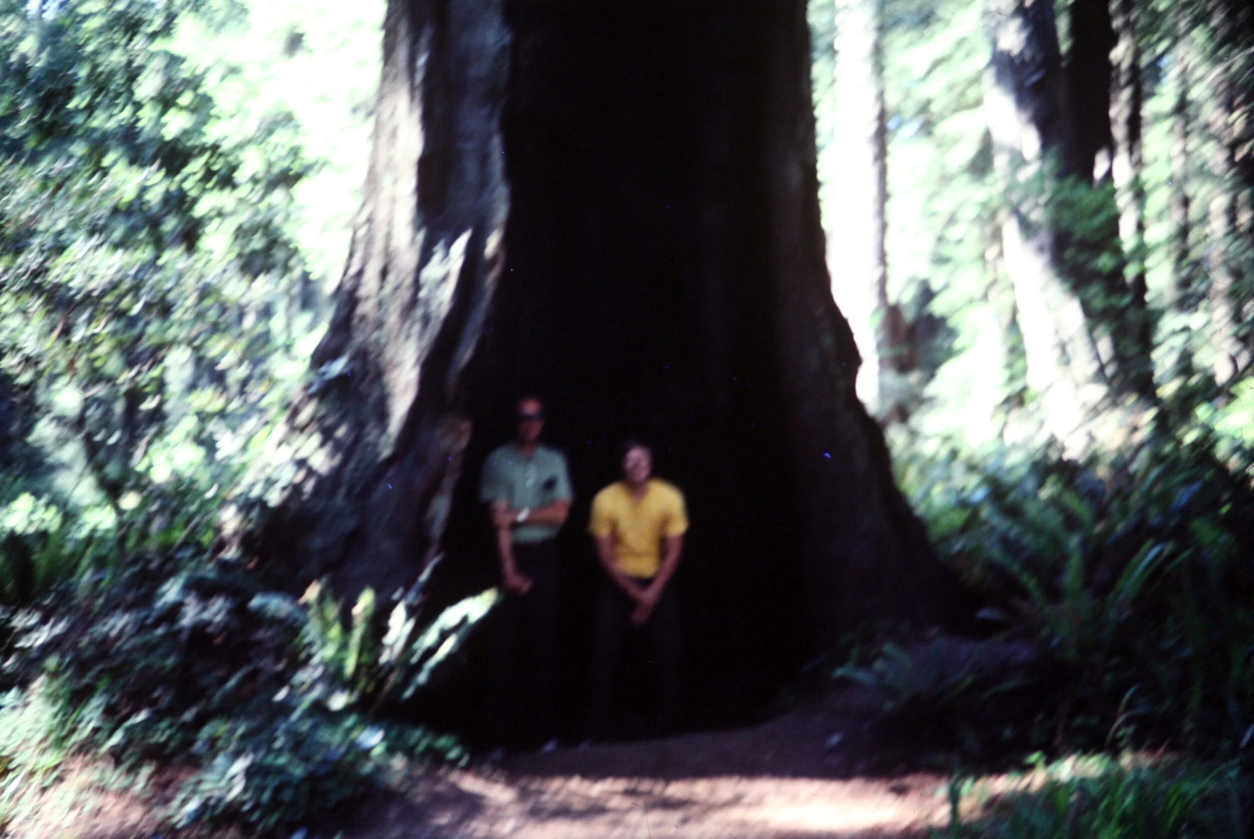 00000013_IMG_0013.JPG