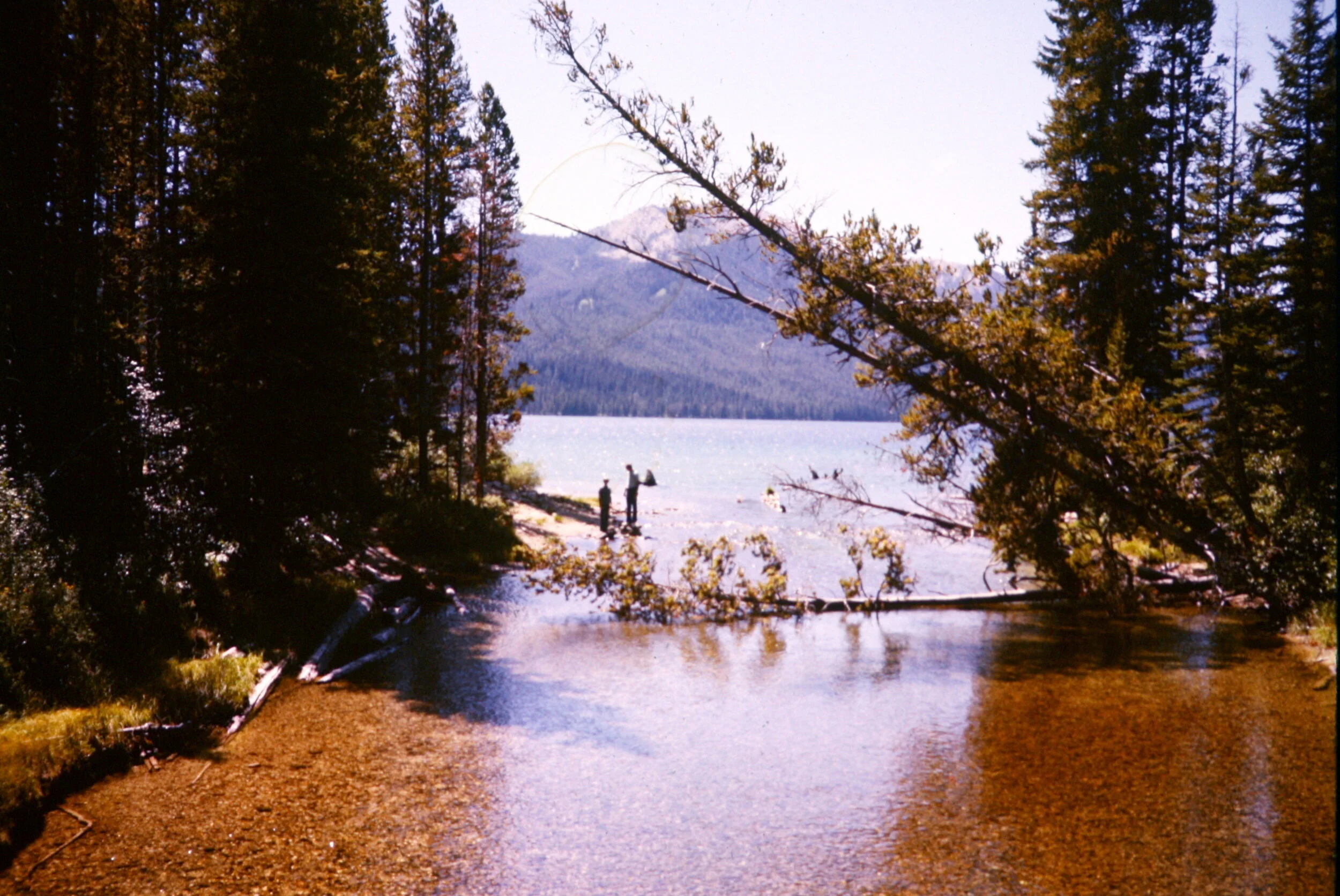 00000094_IMG_0036.JPG