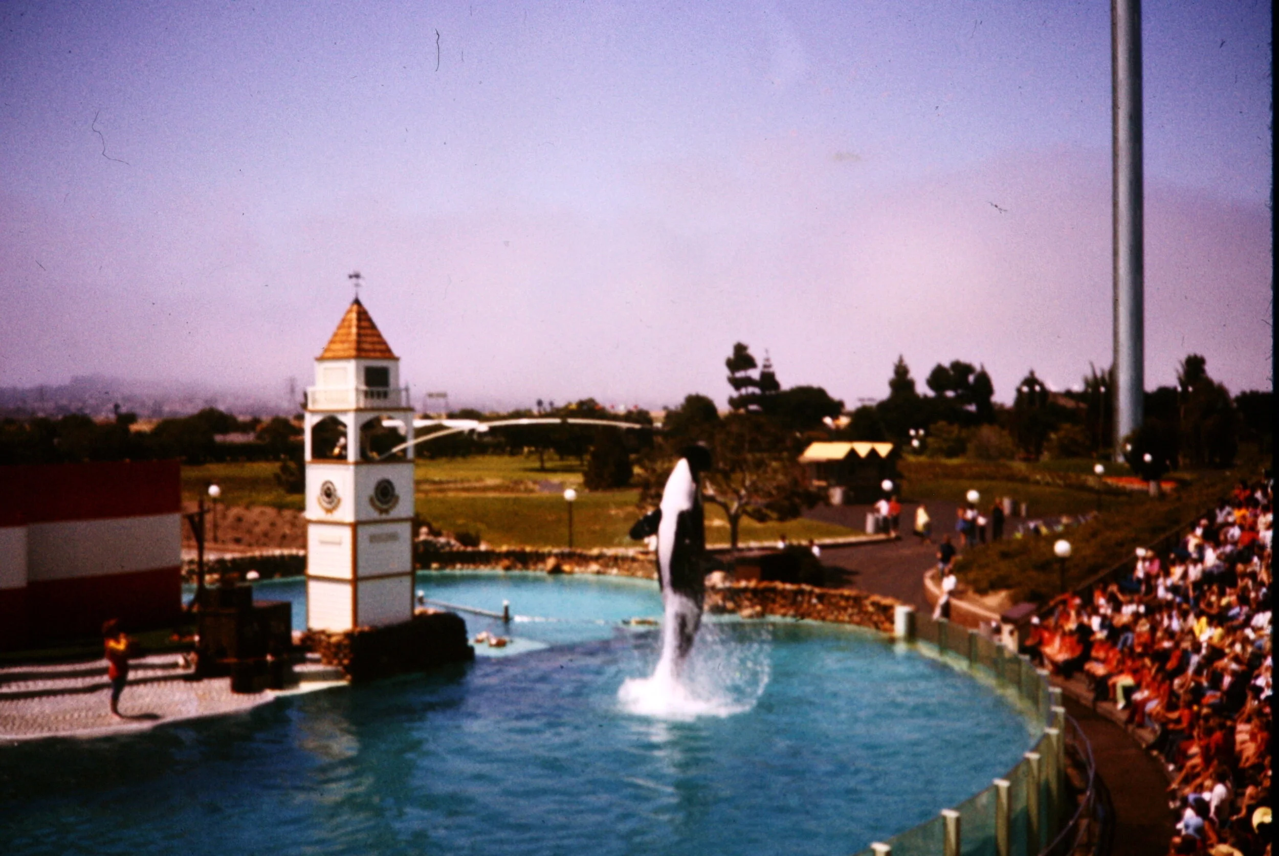 00000116_IMG_0007.JPG