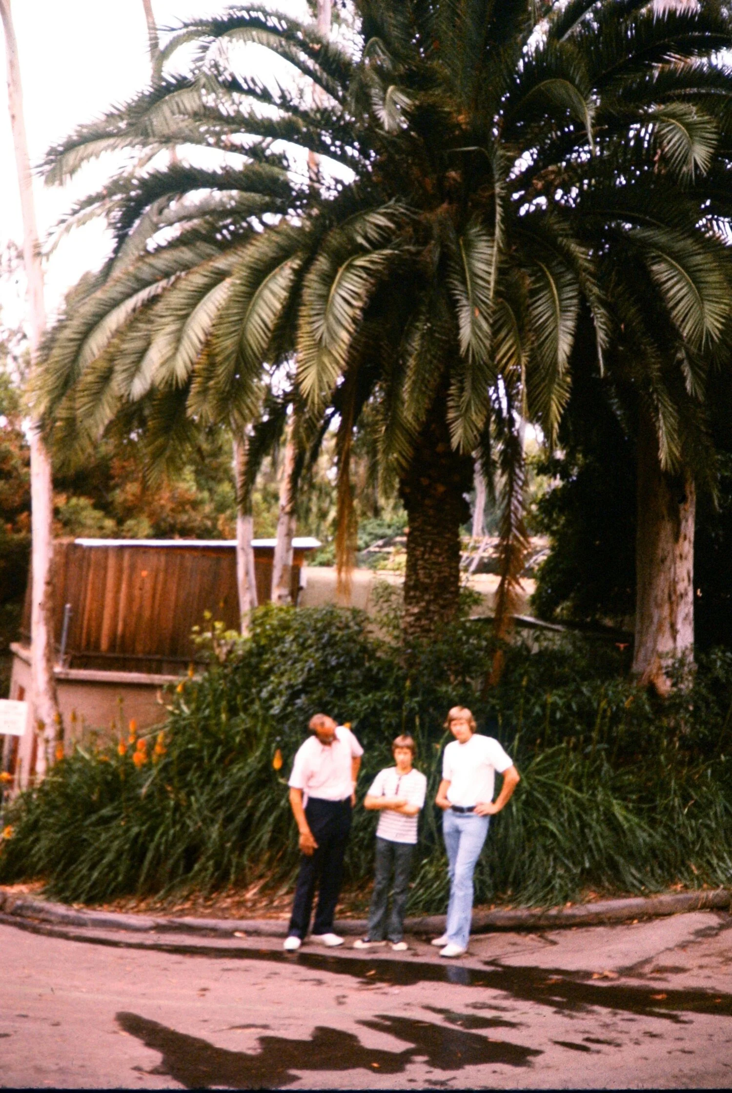 00000148_IMG_0039.JPG