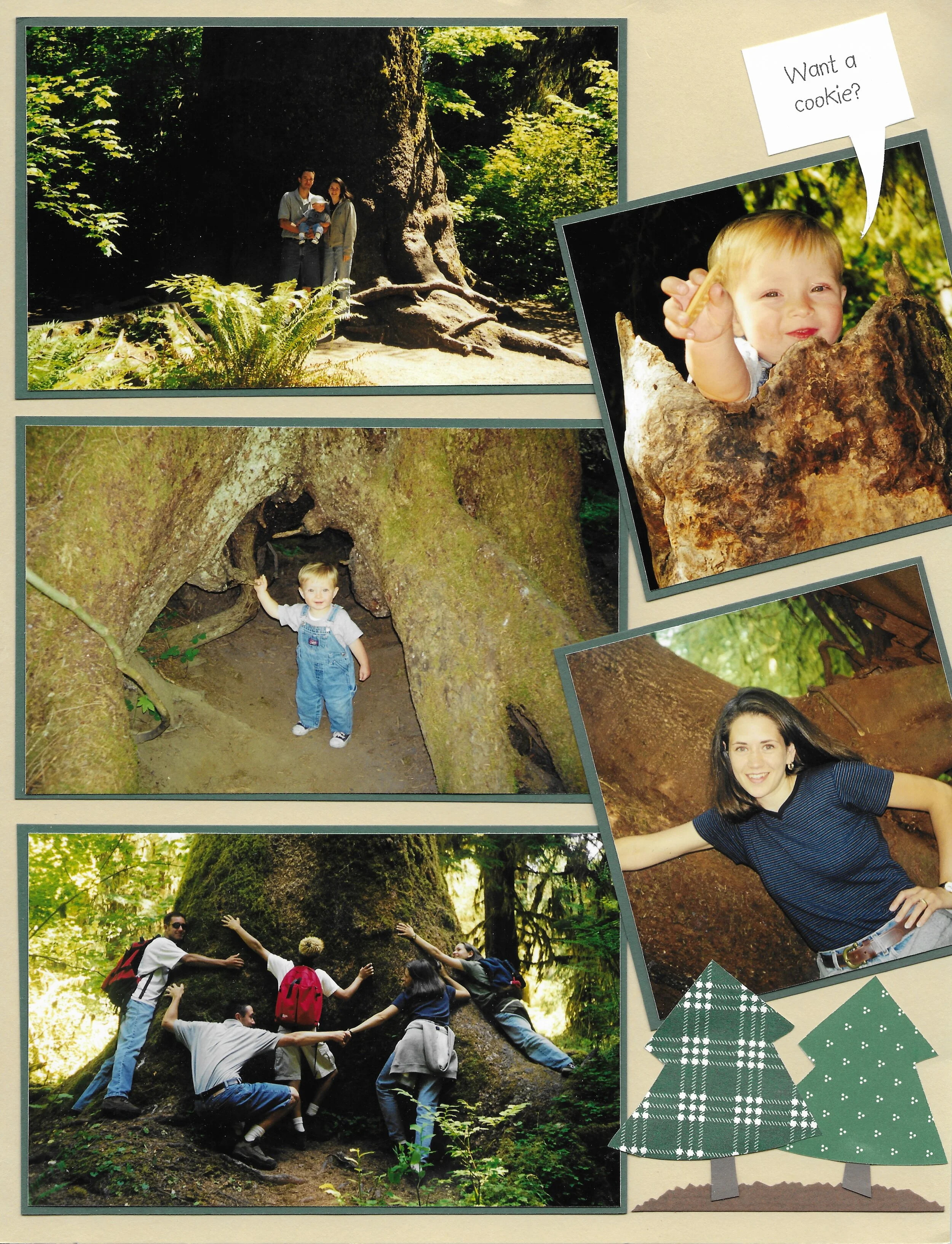 1999-08 Olympic Peninsula 6.jpeg