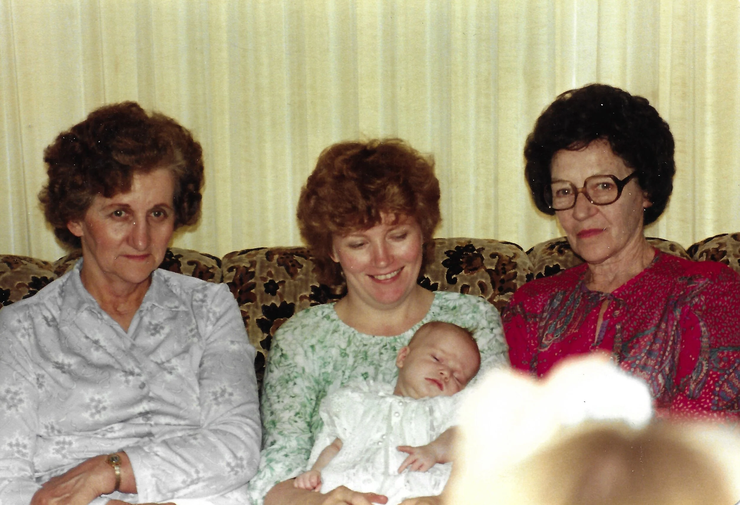 Johnson Family Gatherings