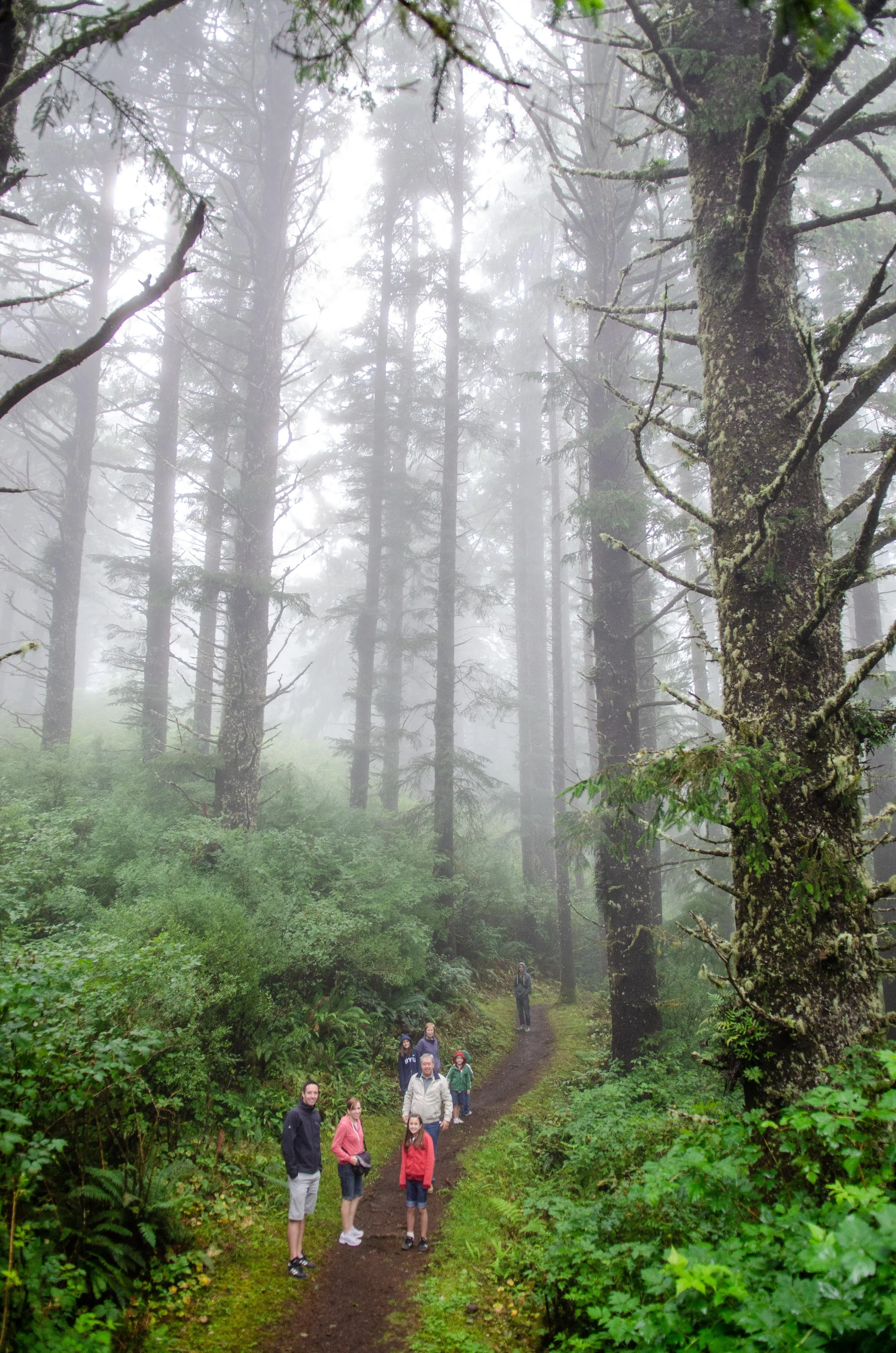 Oregon Coast - Picnic and Cape Lookout Walk