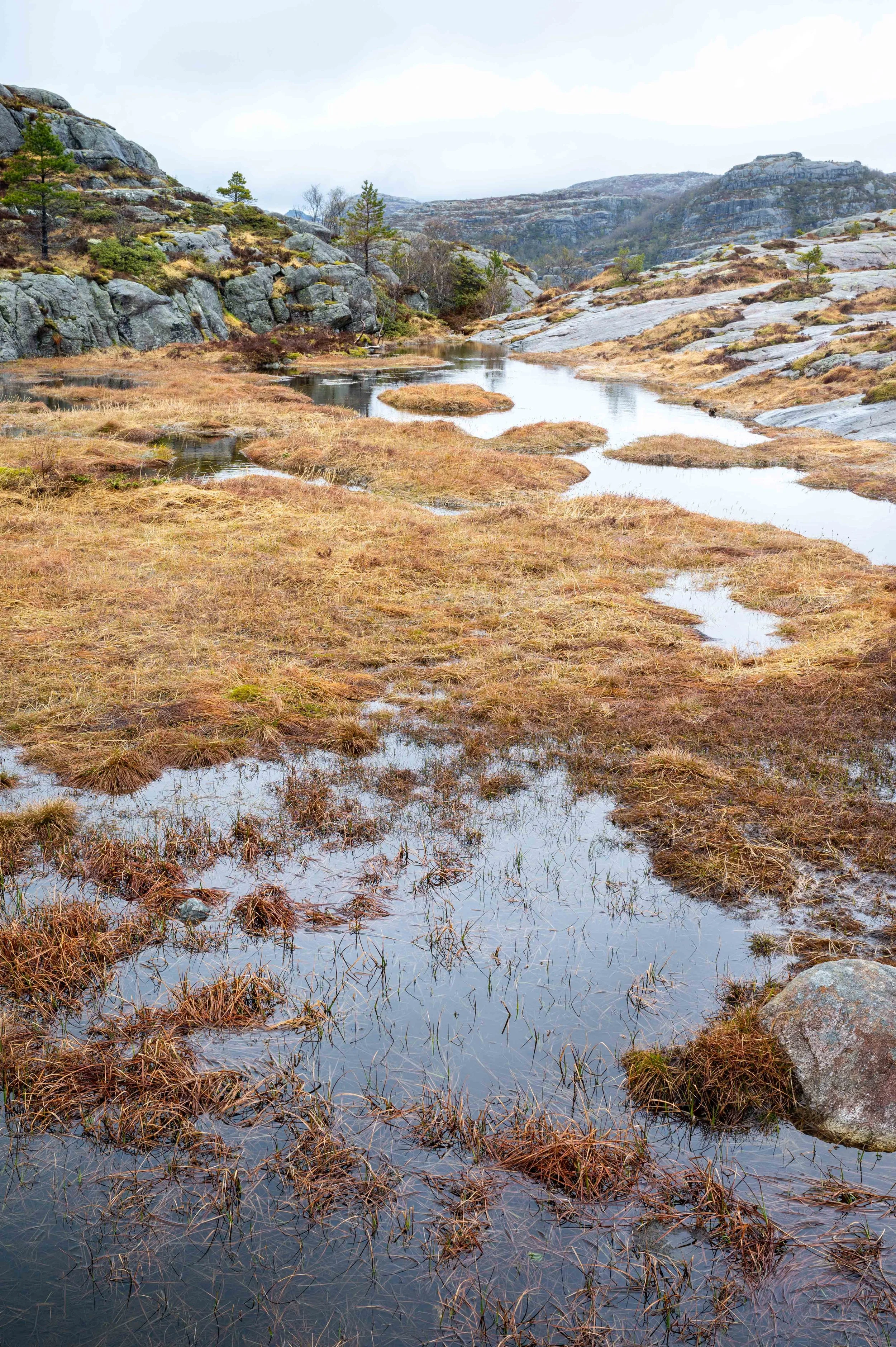 Hike to Pulpit Rock-24.jpg