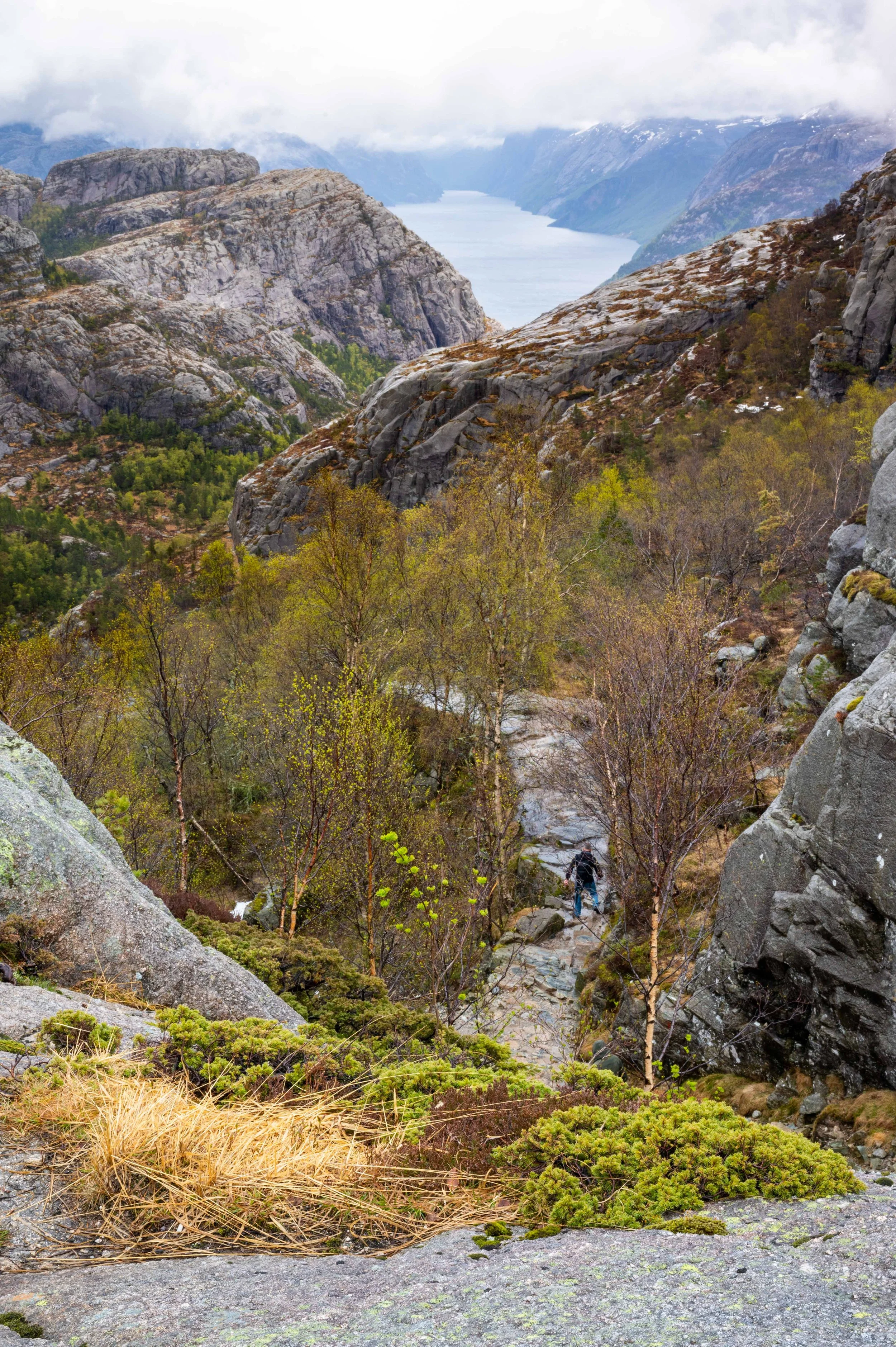 Hike to Pulpit Rock-30.jpg
