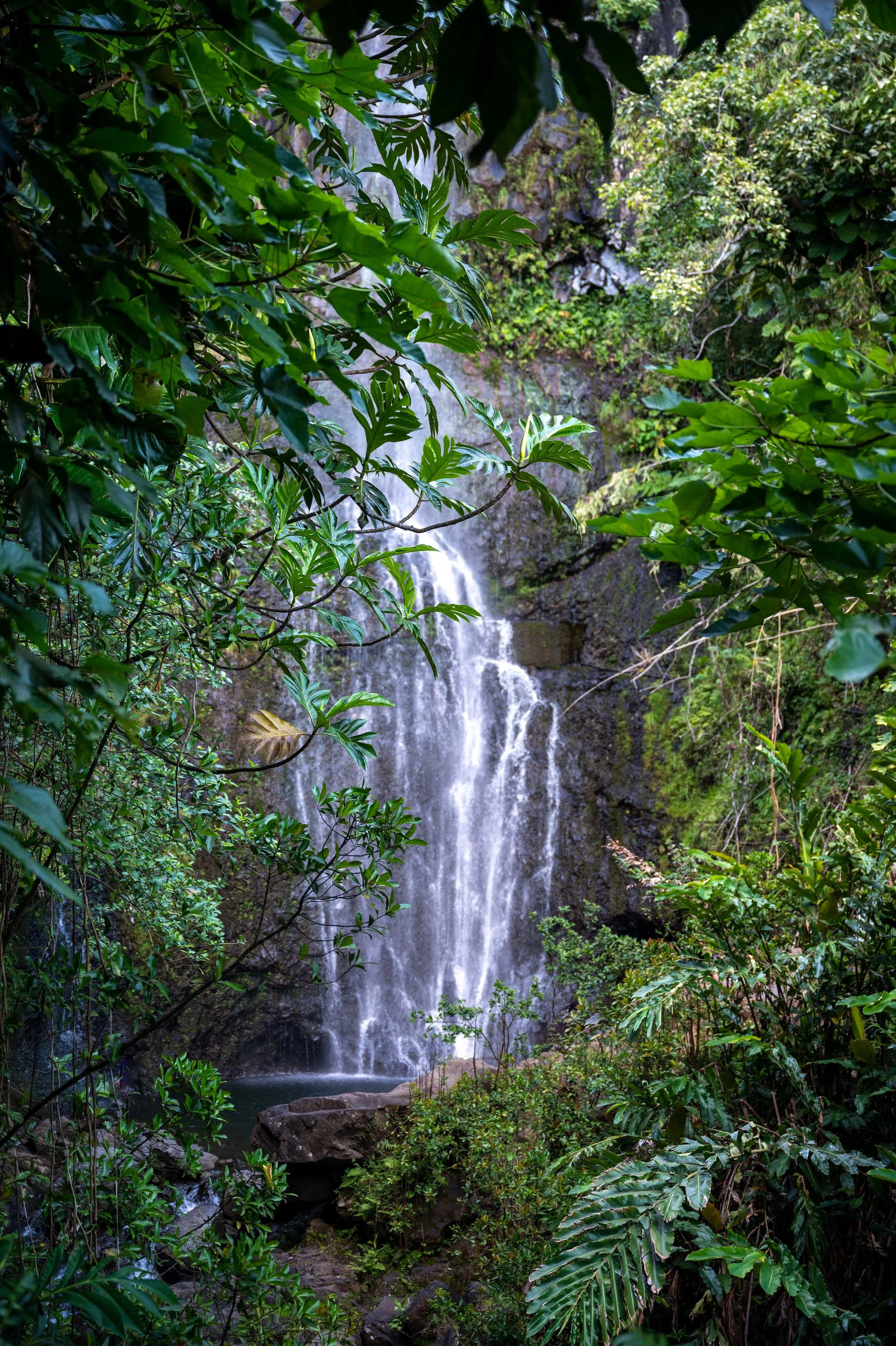 Maui-139.jpg