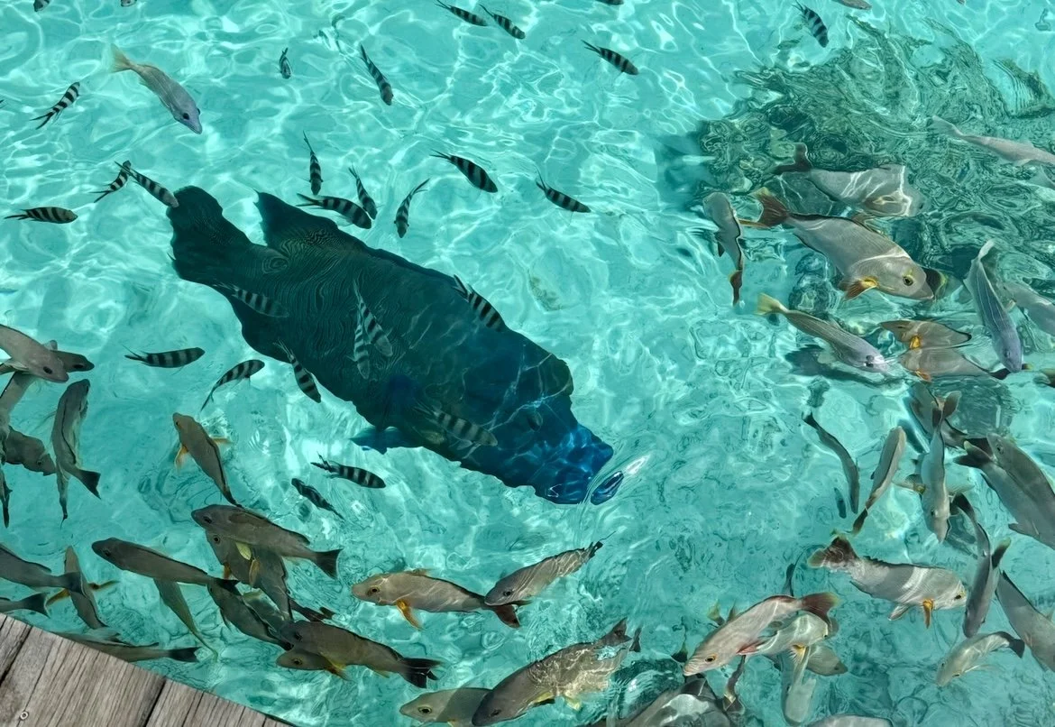 Bora iPhone_0242.jpg