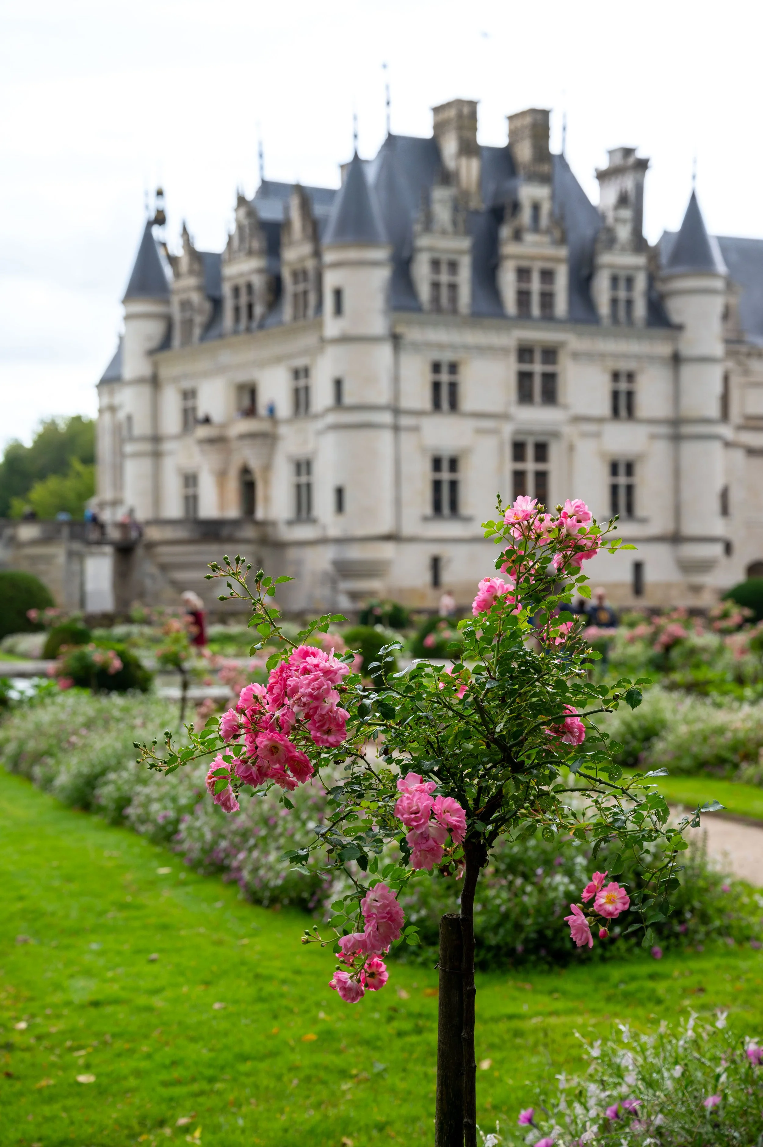Chateau de Chenonceau and lunch-72.jpg