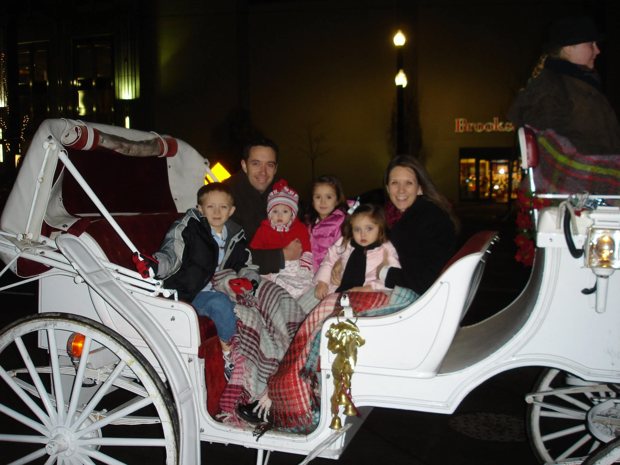 One horse open sleigh.JPG