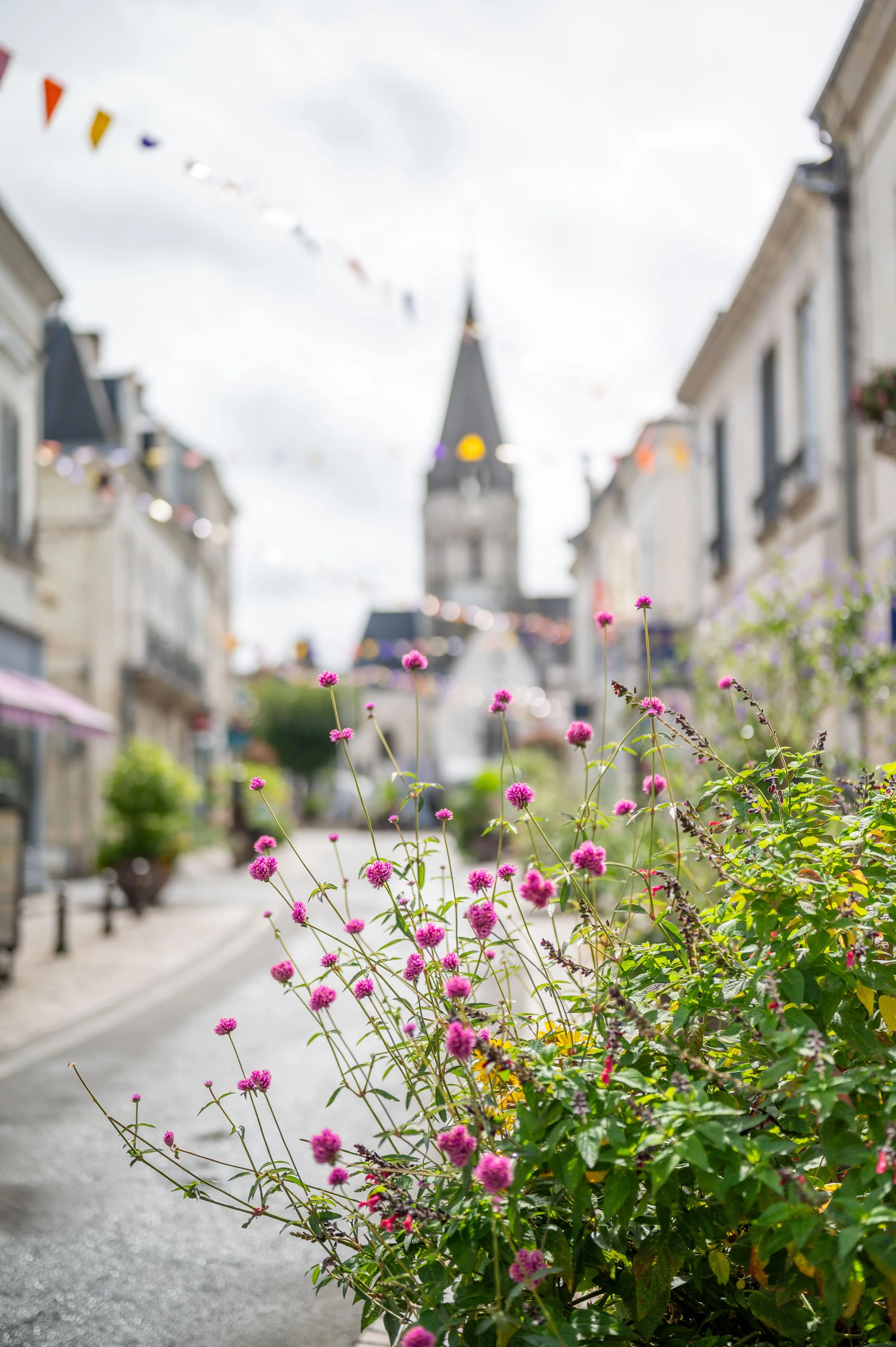 Chateau de Chenonceau and lunch-112.jpg