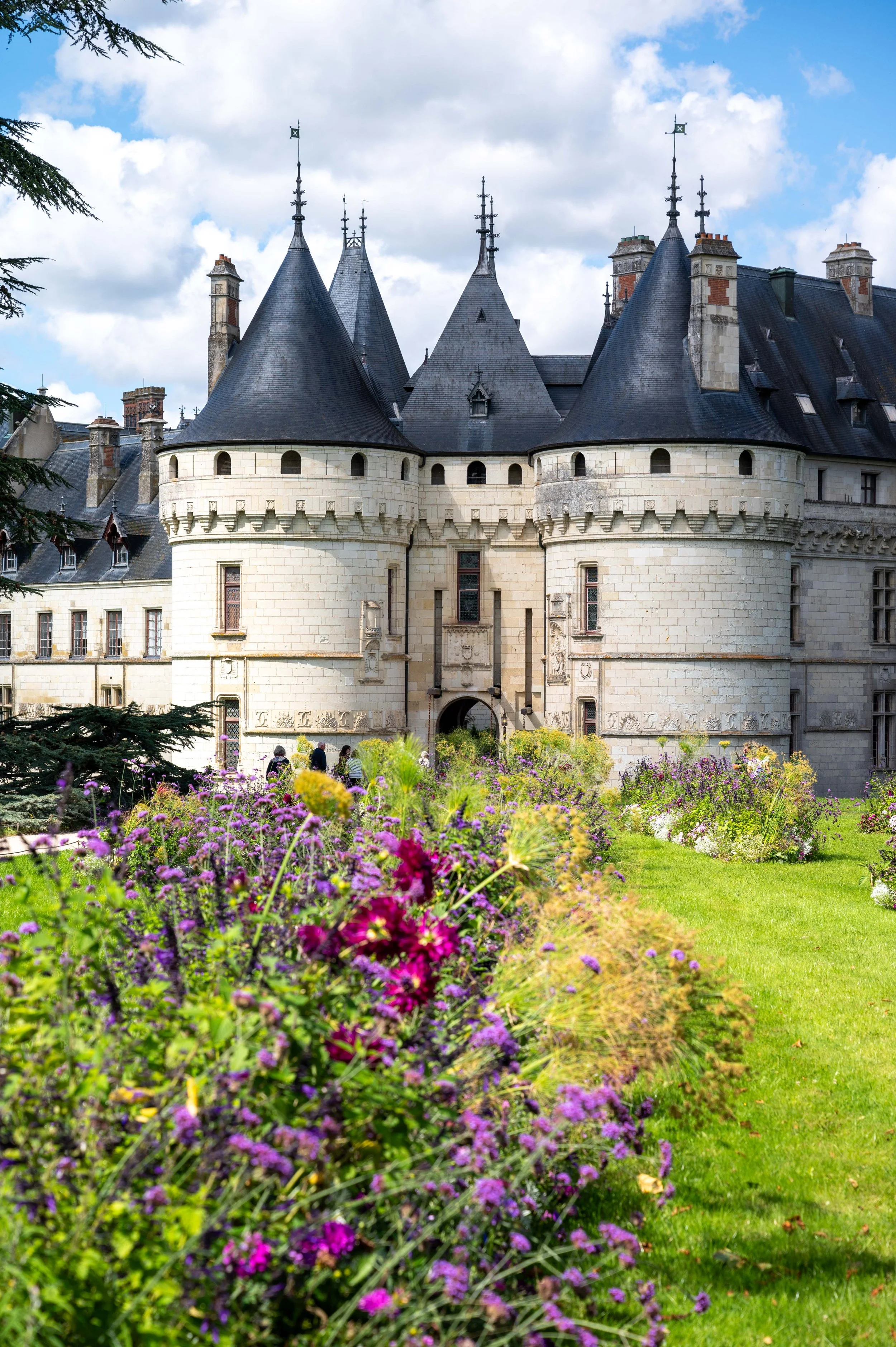 Chaumont-sur-Loire and Gardens-43.jpg