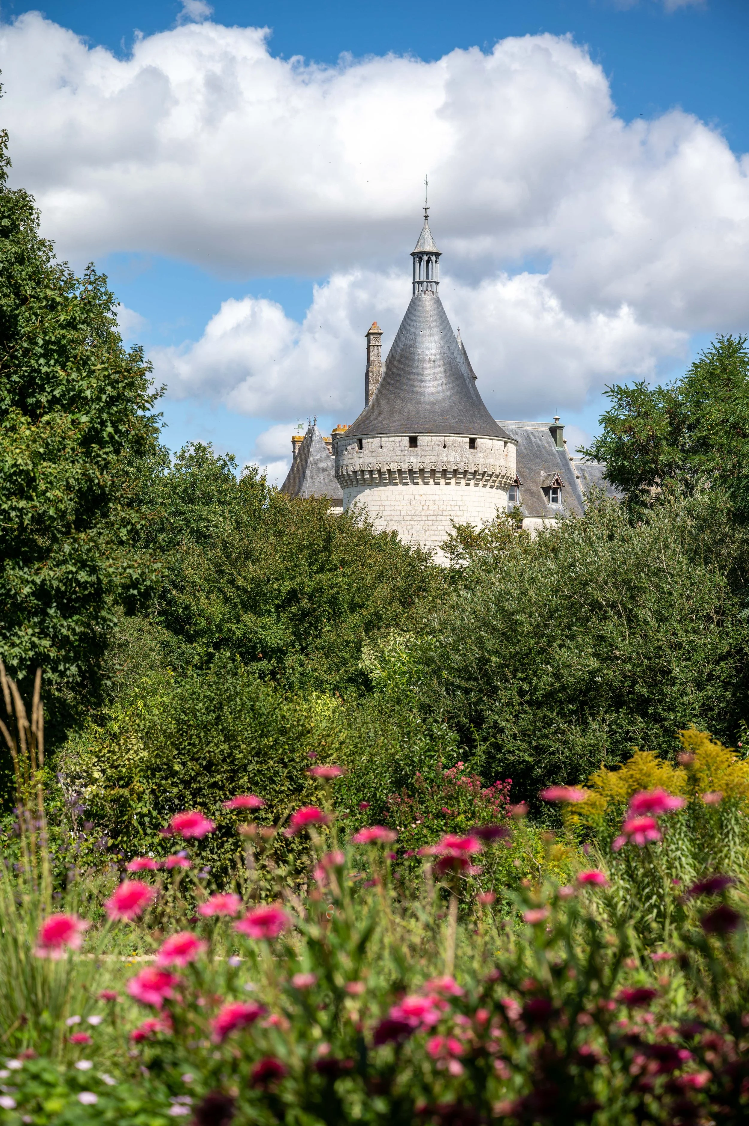 Chaumont-sur-Loire and Gardens-47.jpg