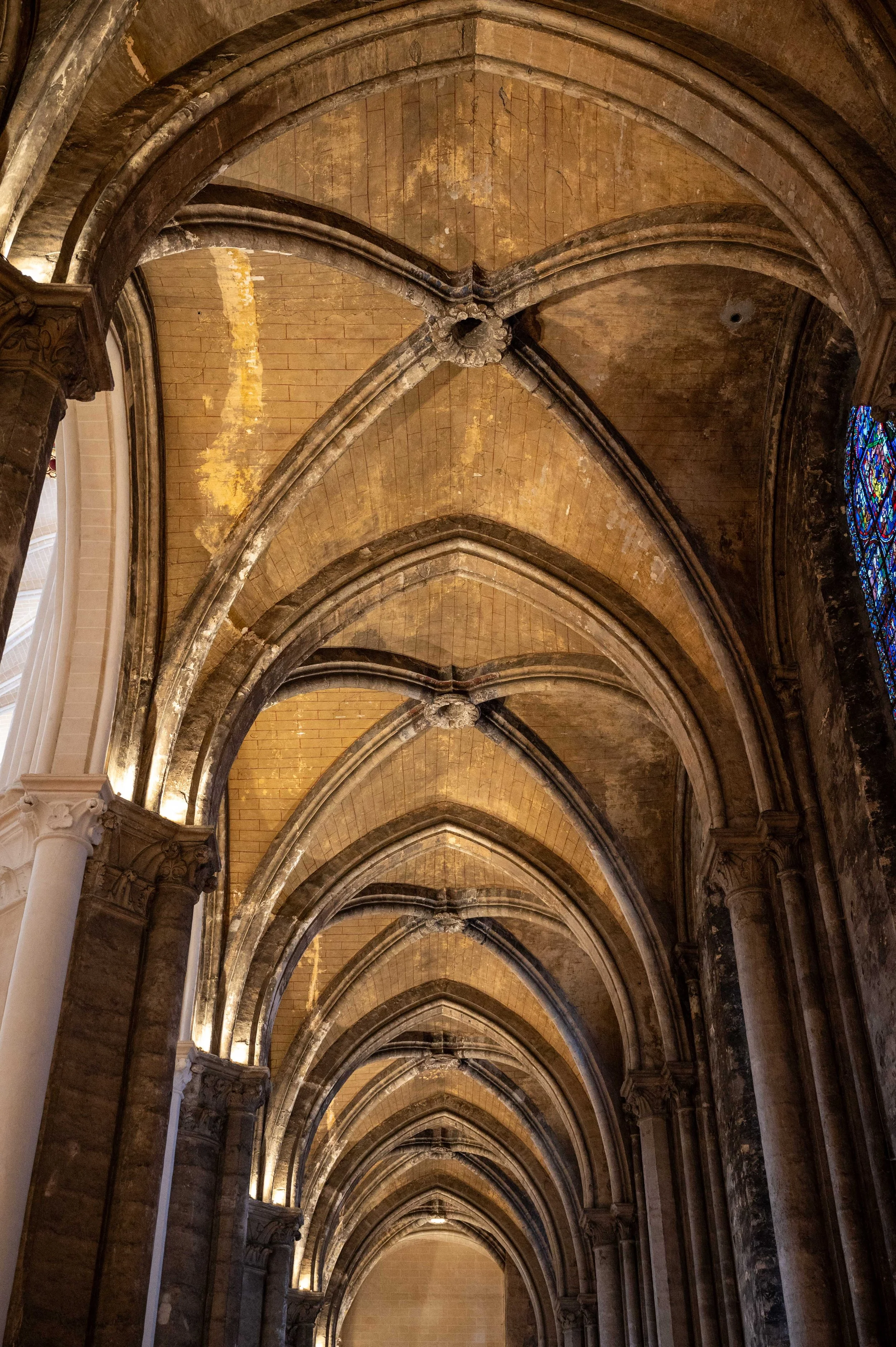 Chartres Cathedral and market-14.jpg