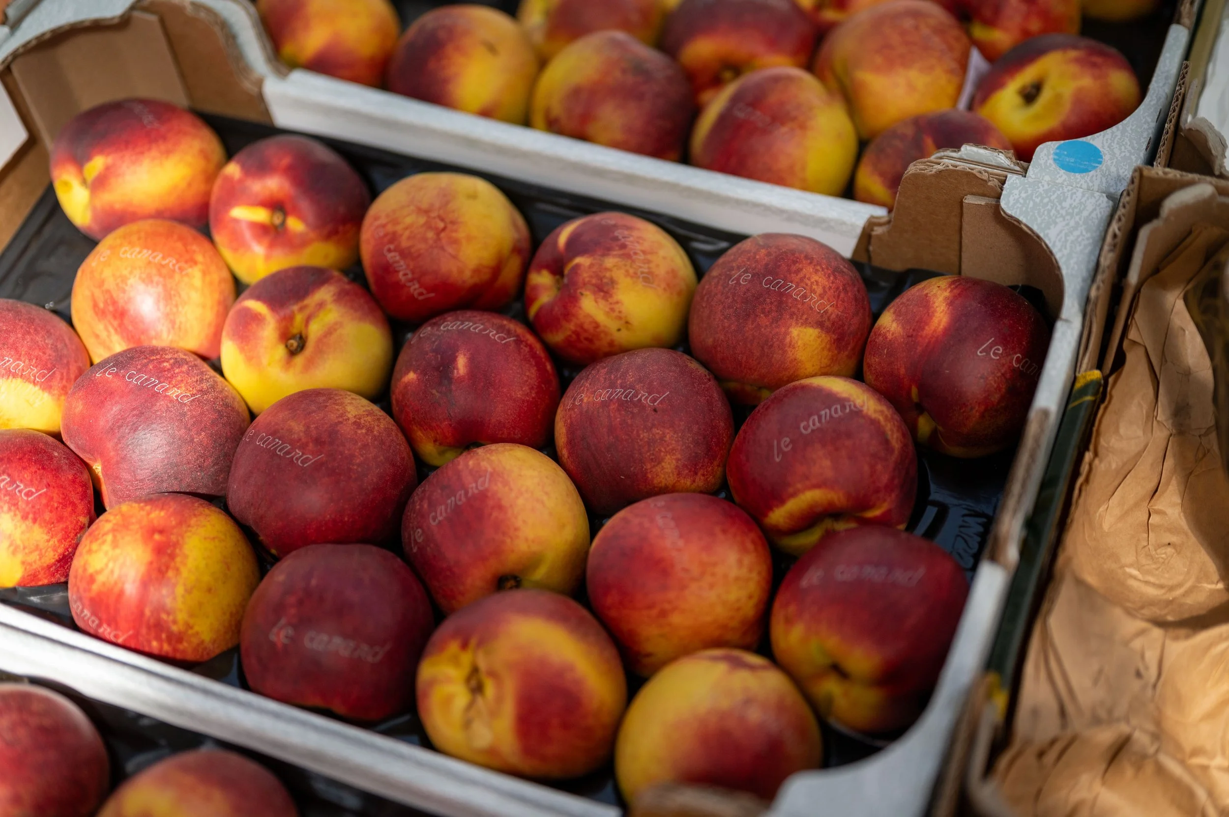 Chartres Cathedral and market-25.jpg