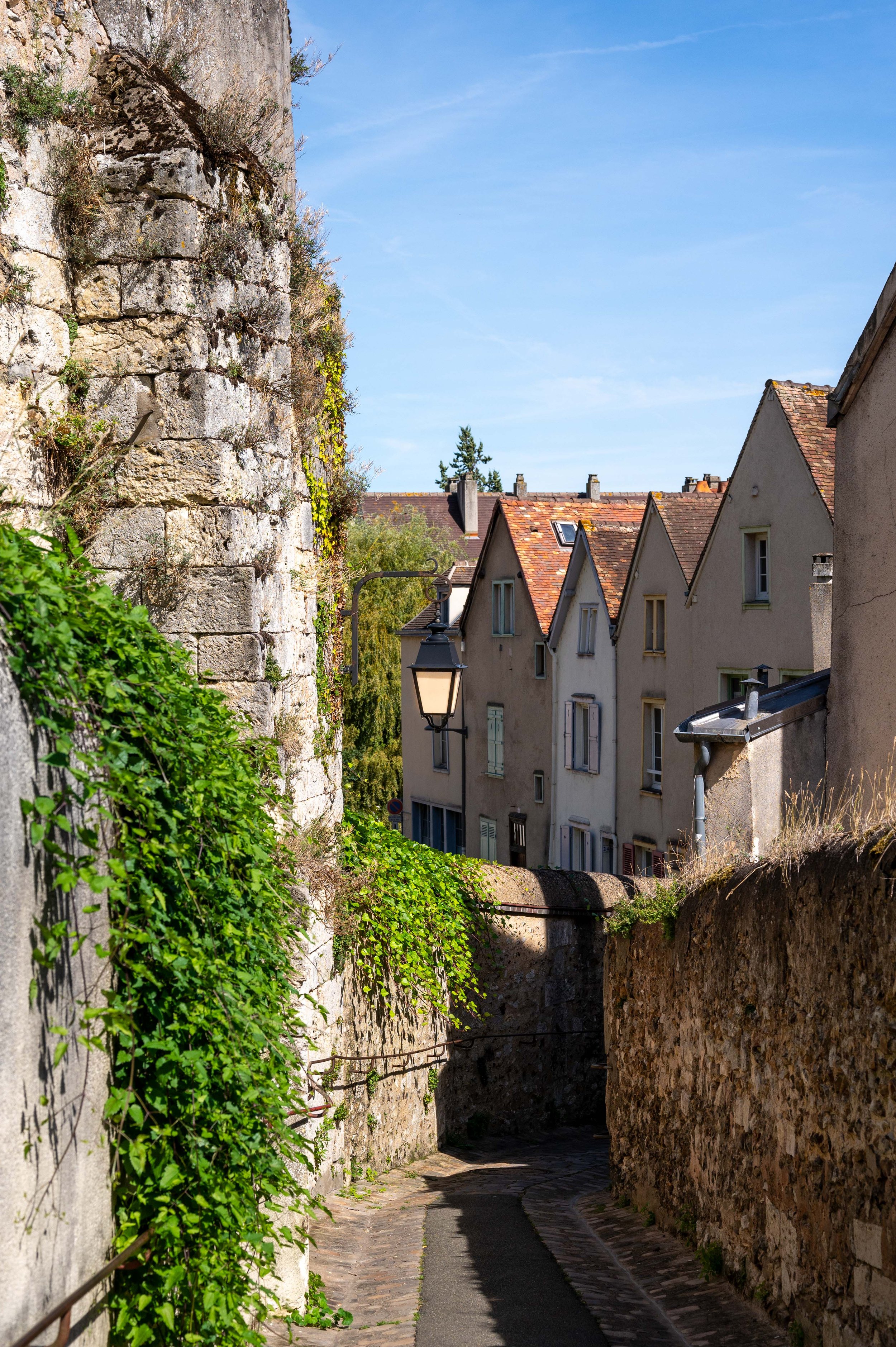 Chartres Cathedral and market-39.jpg