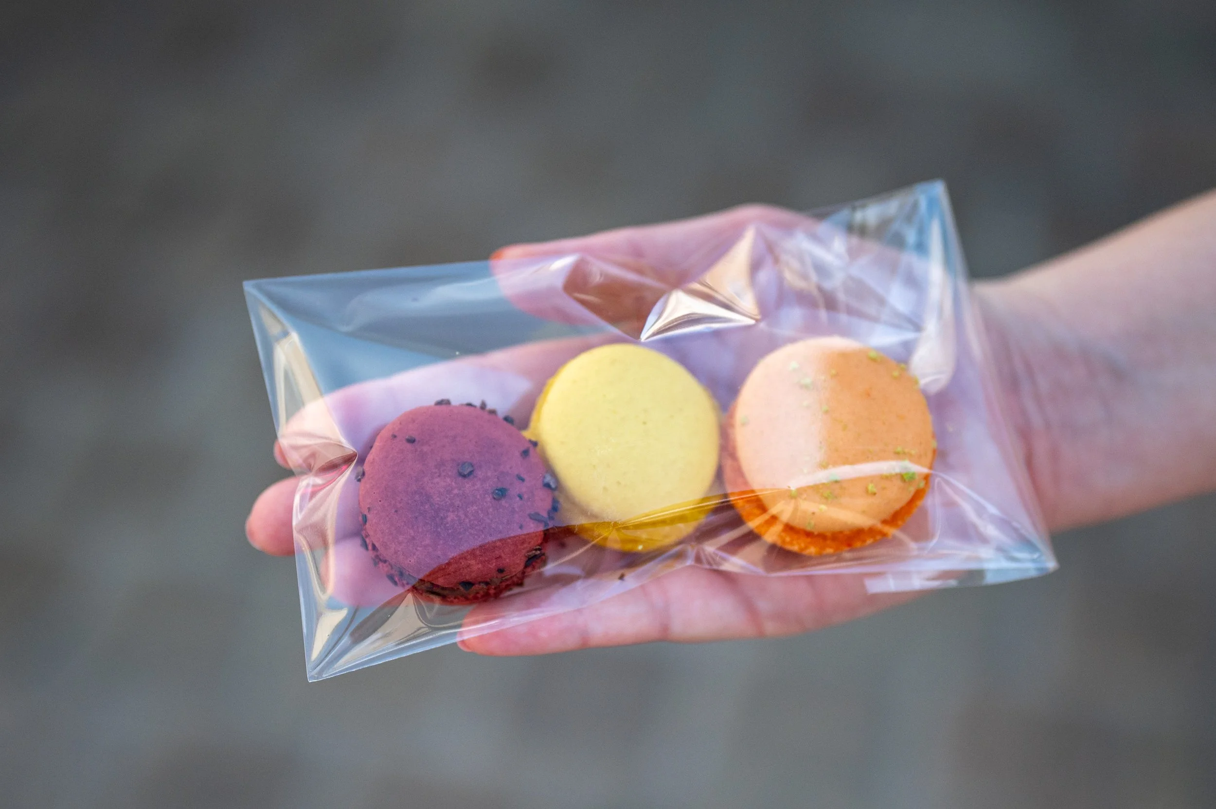 Chartres Cathedral and market-32.jpg