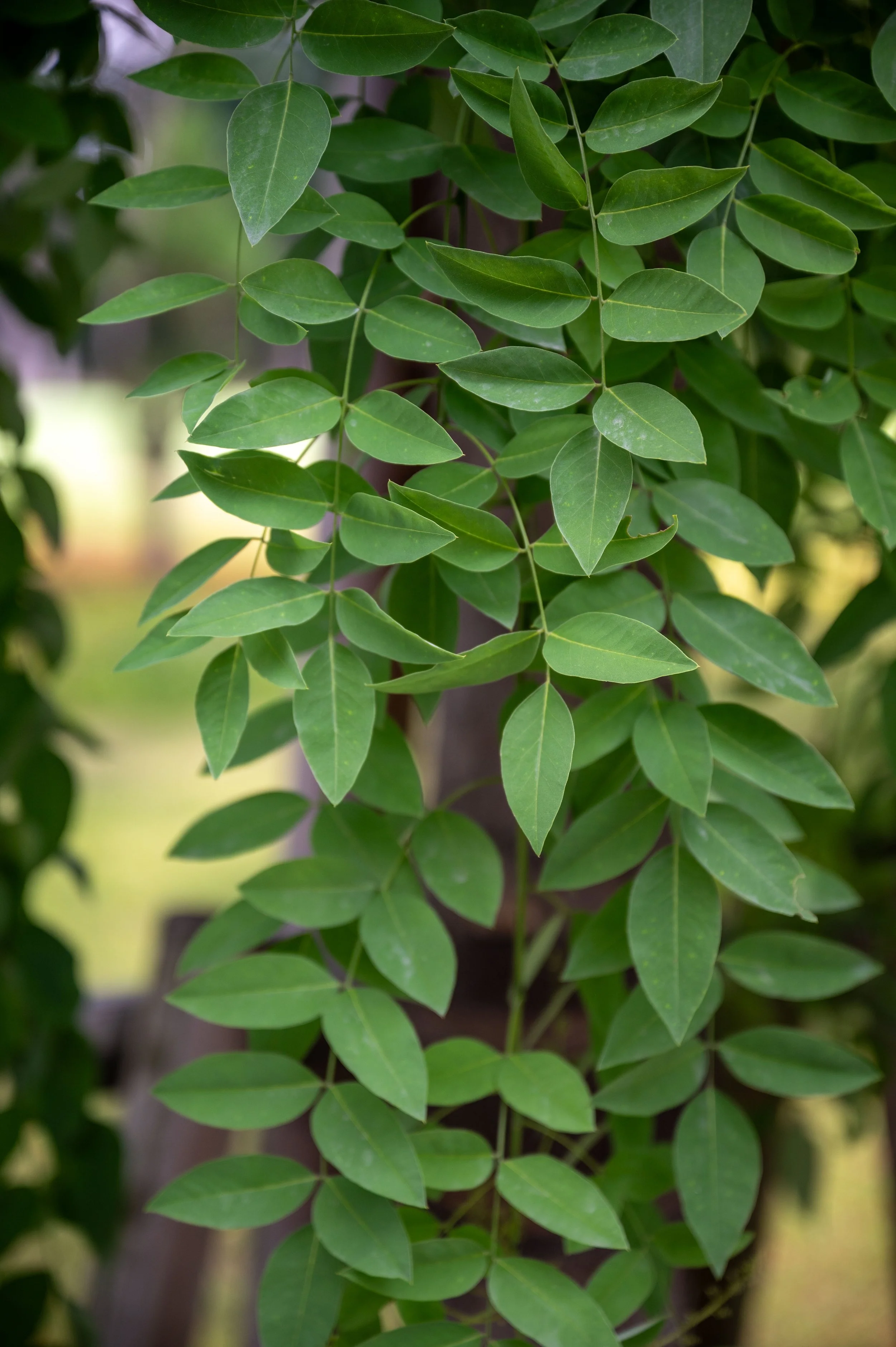 Kyoto Day One-30.jpg