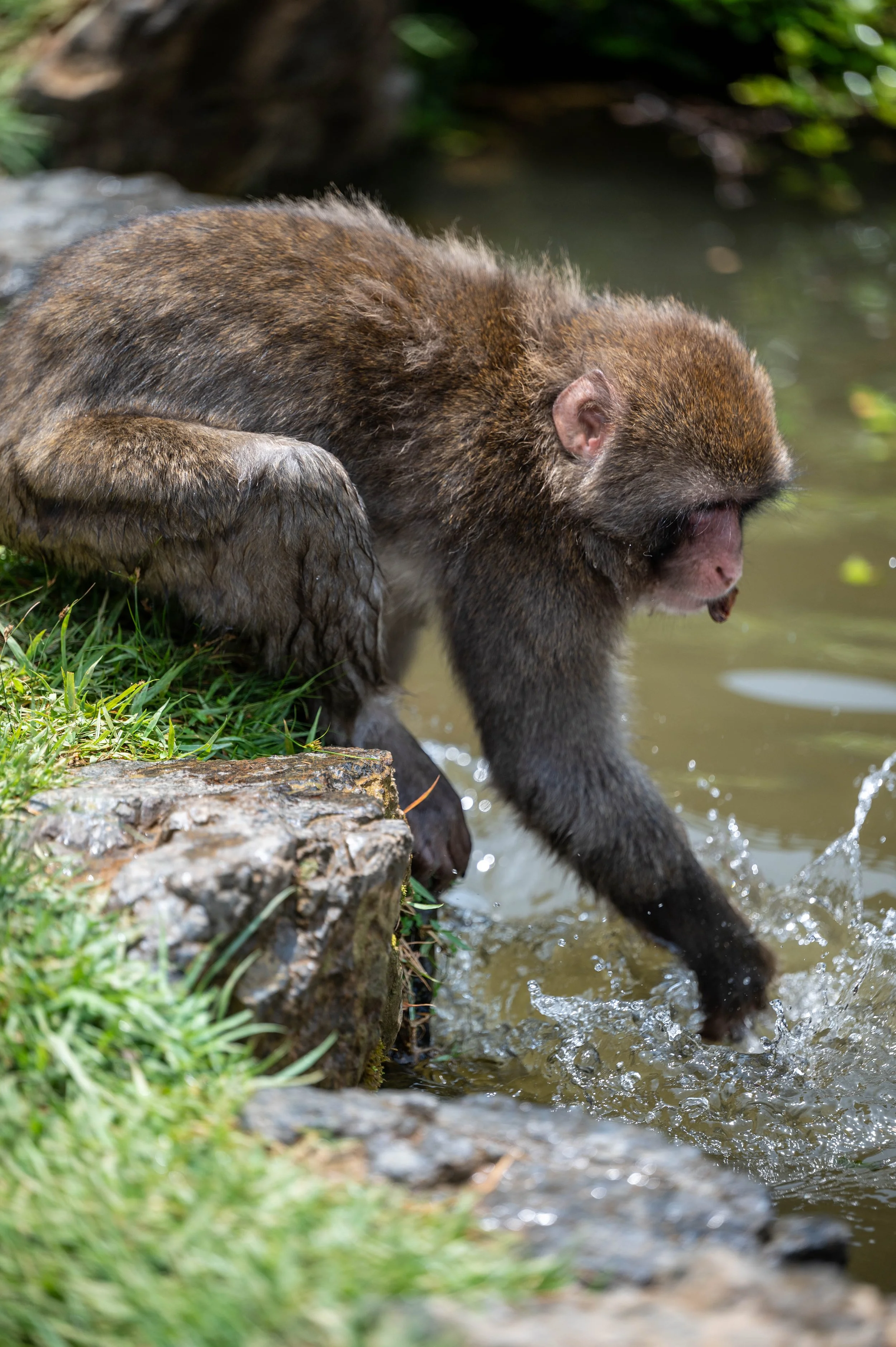 Kyoto Day One-53.jpg