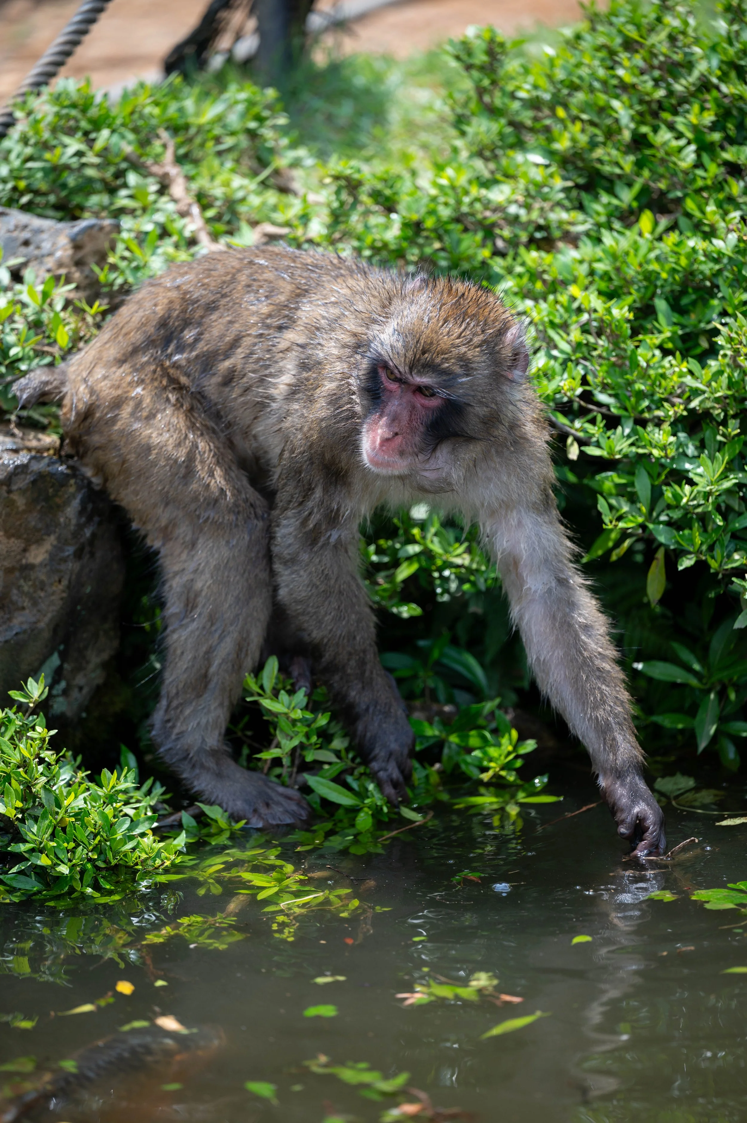 Kyoto Day One-52.jpg