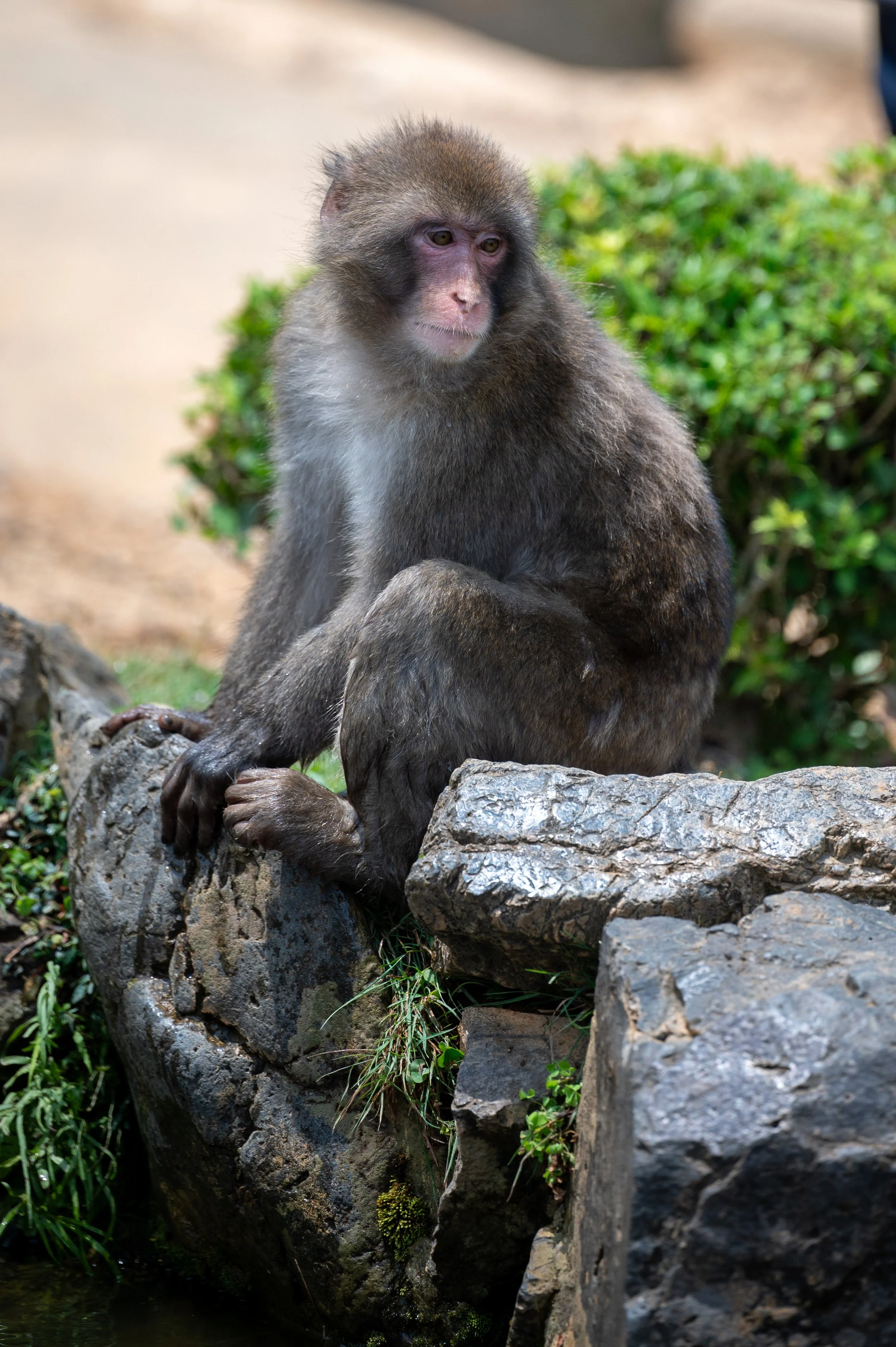 Kyoto Day One-51.jpg