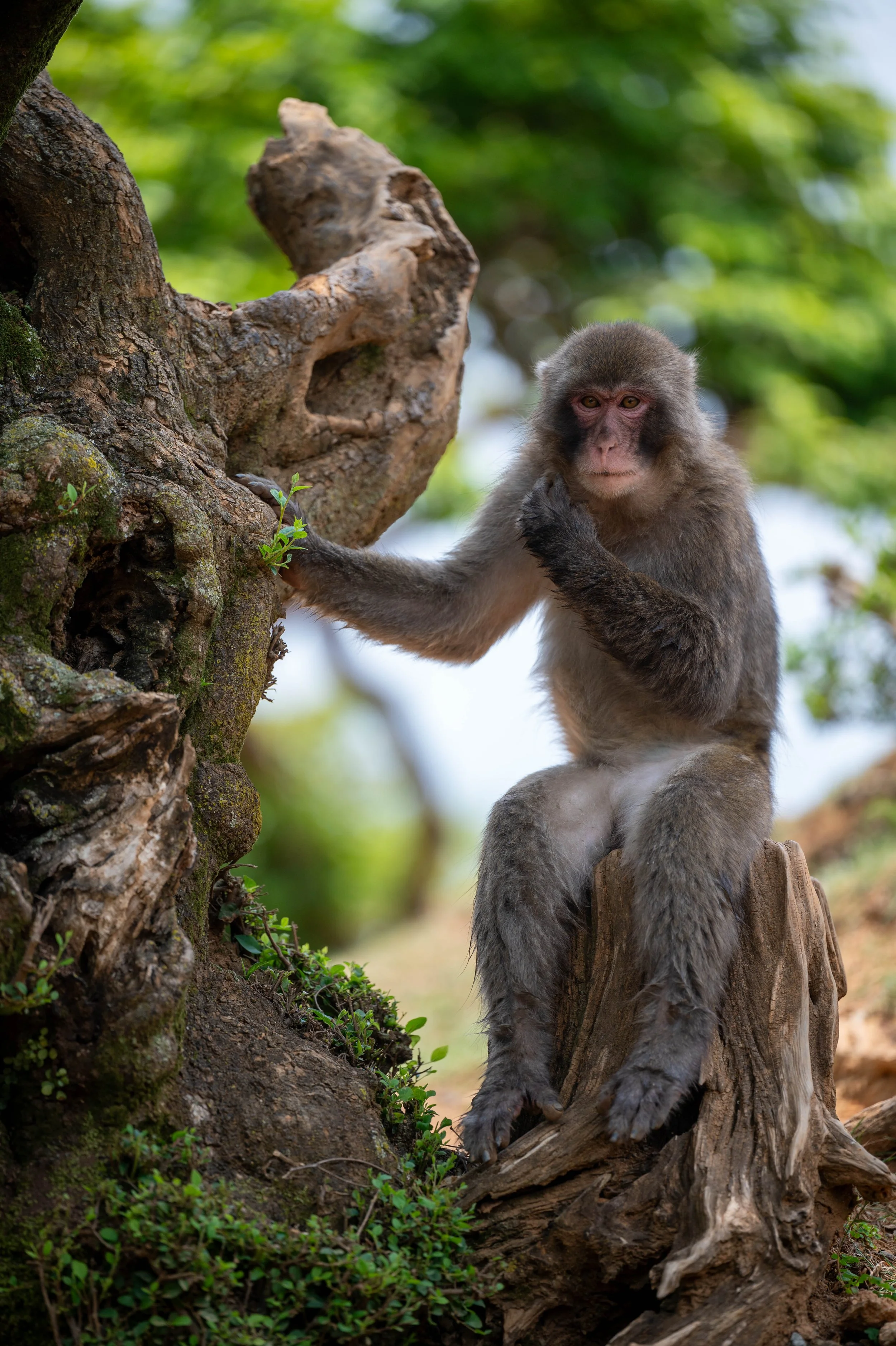 Kyoto Day One-47.jpg