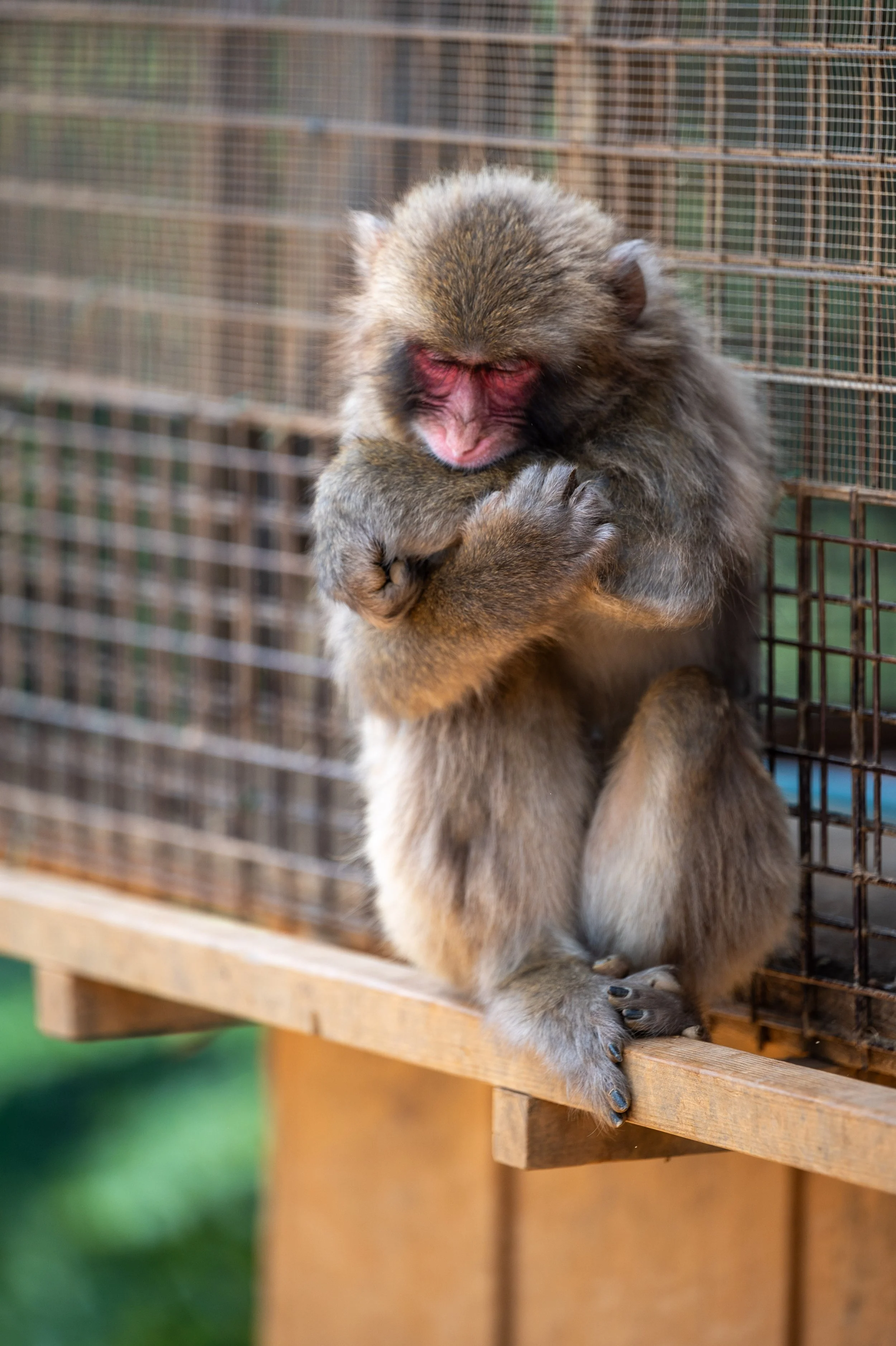 Kyoto Day One-61.jpg