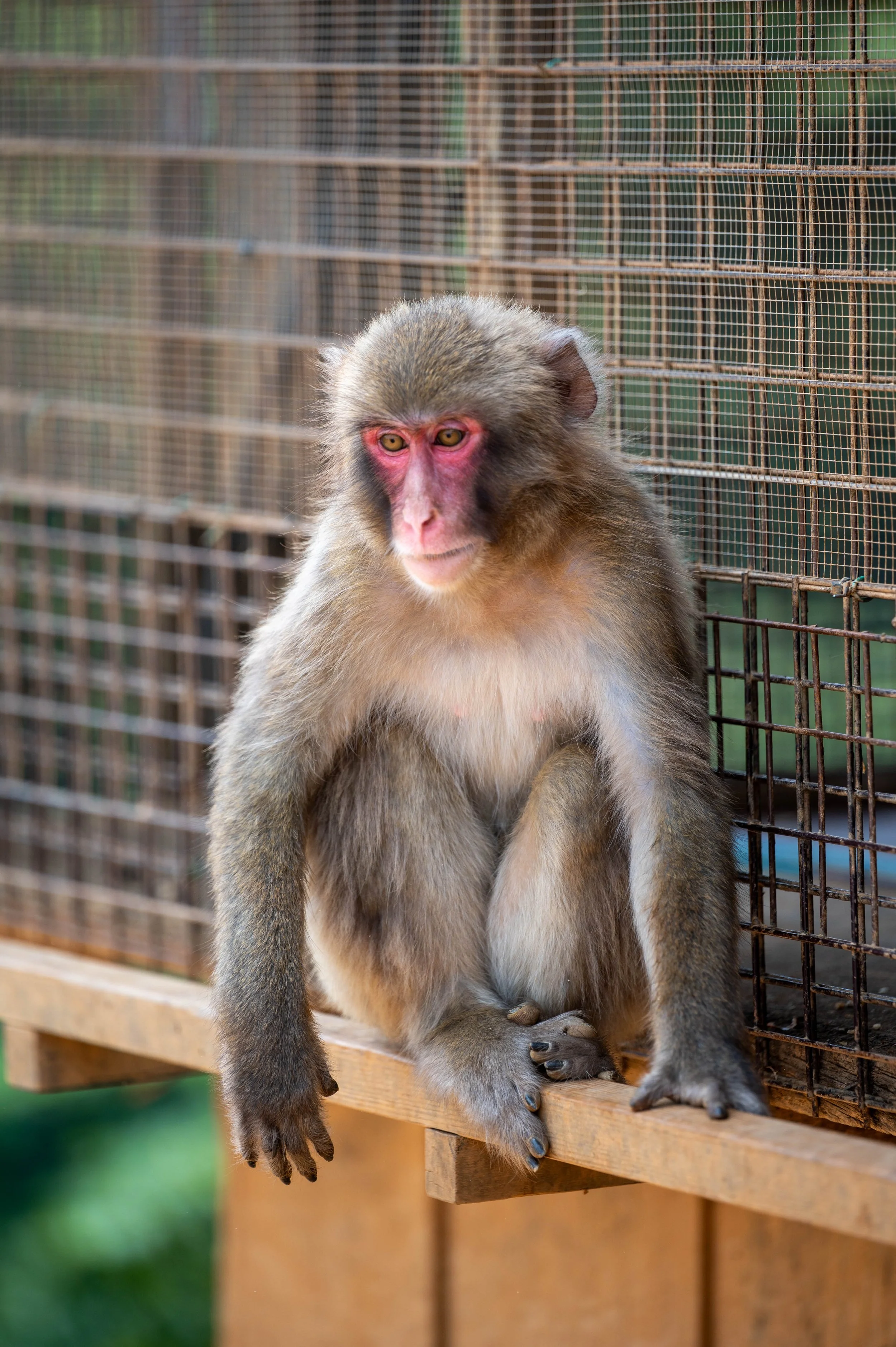 Kyoto Day One-60.jpg