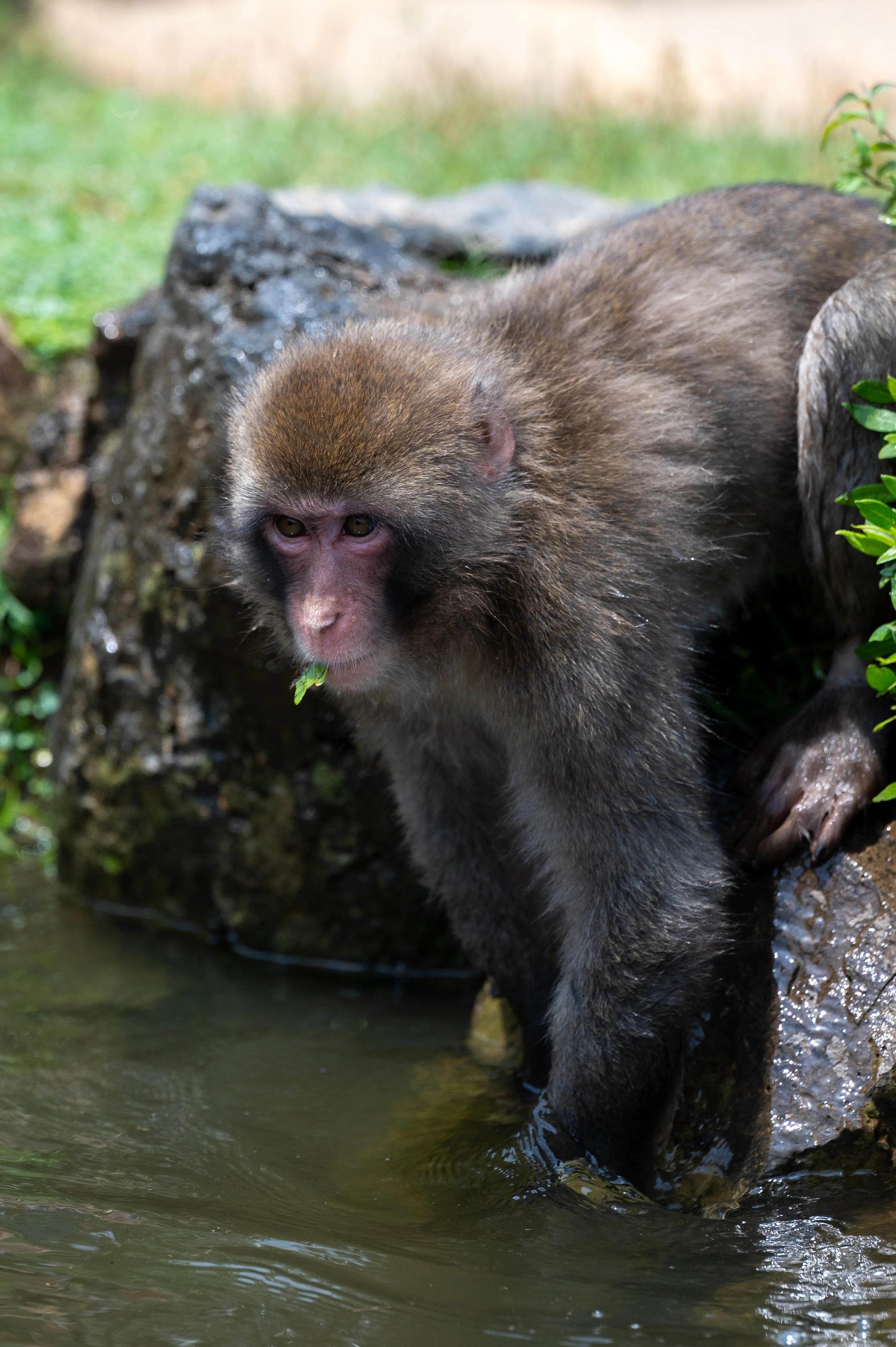 Kyoto Day One-54.jpg
