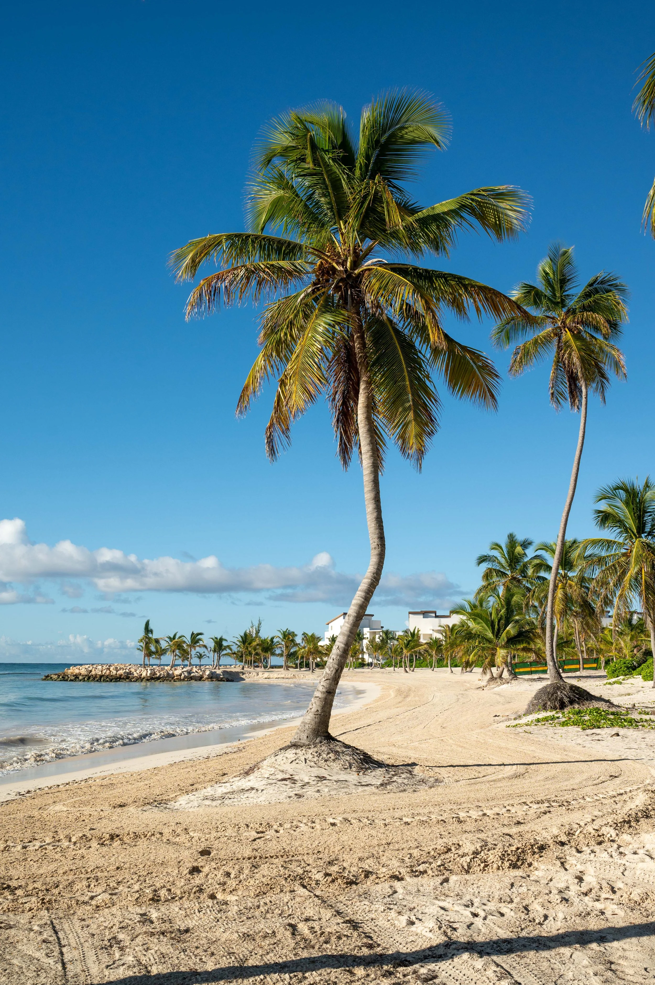 Dominican Republic-16.jpg