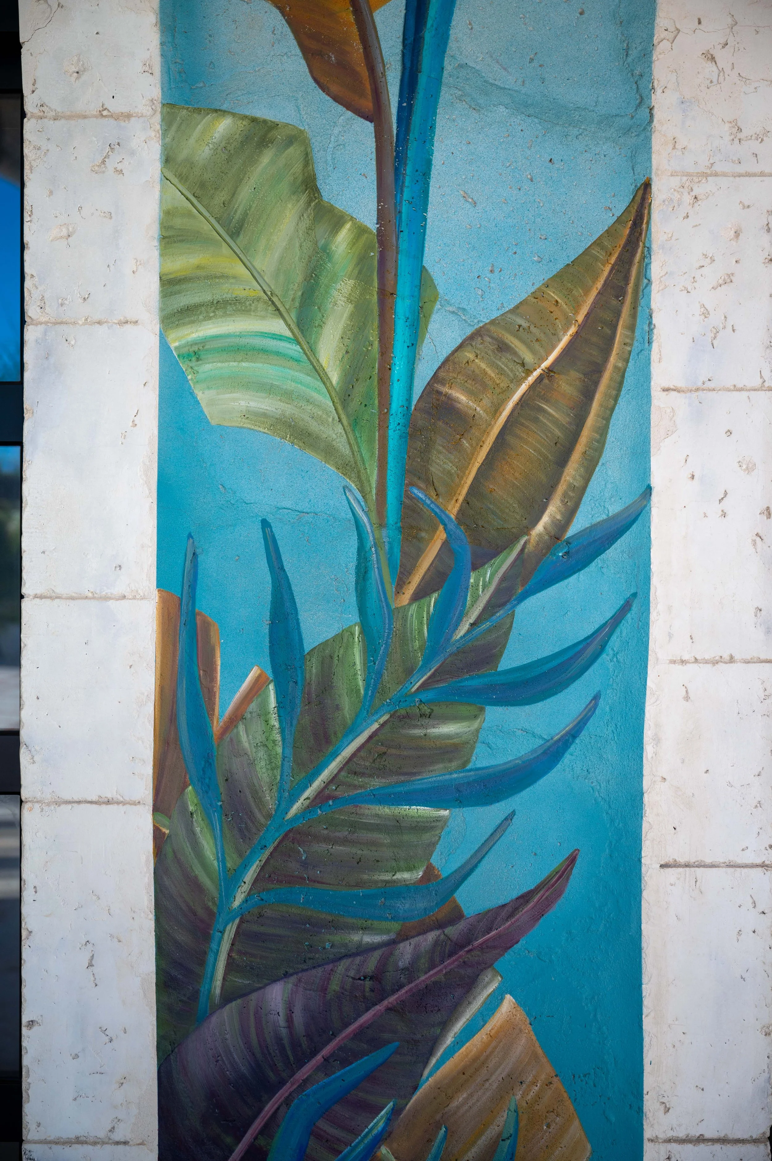 Dominican Republic-29.jpg