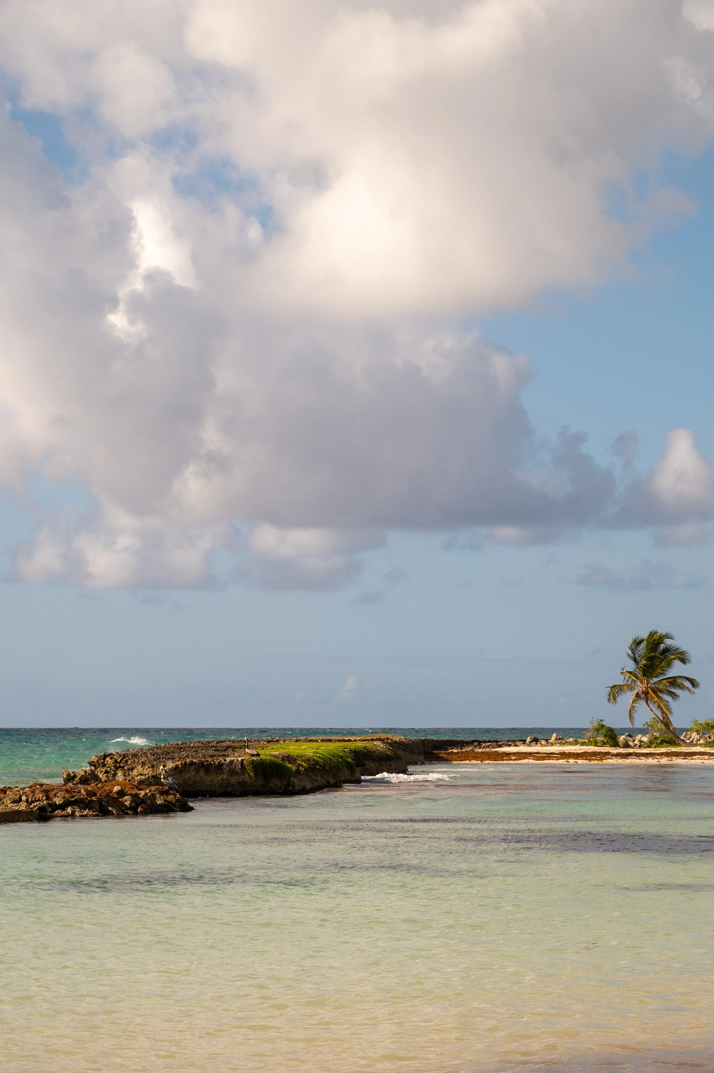 Dominican Republic-72.jpg