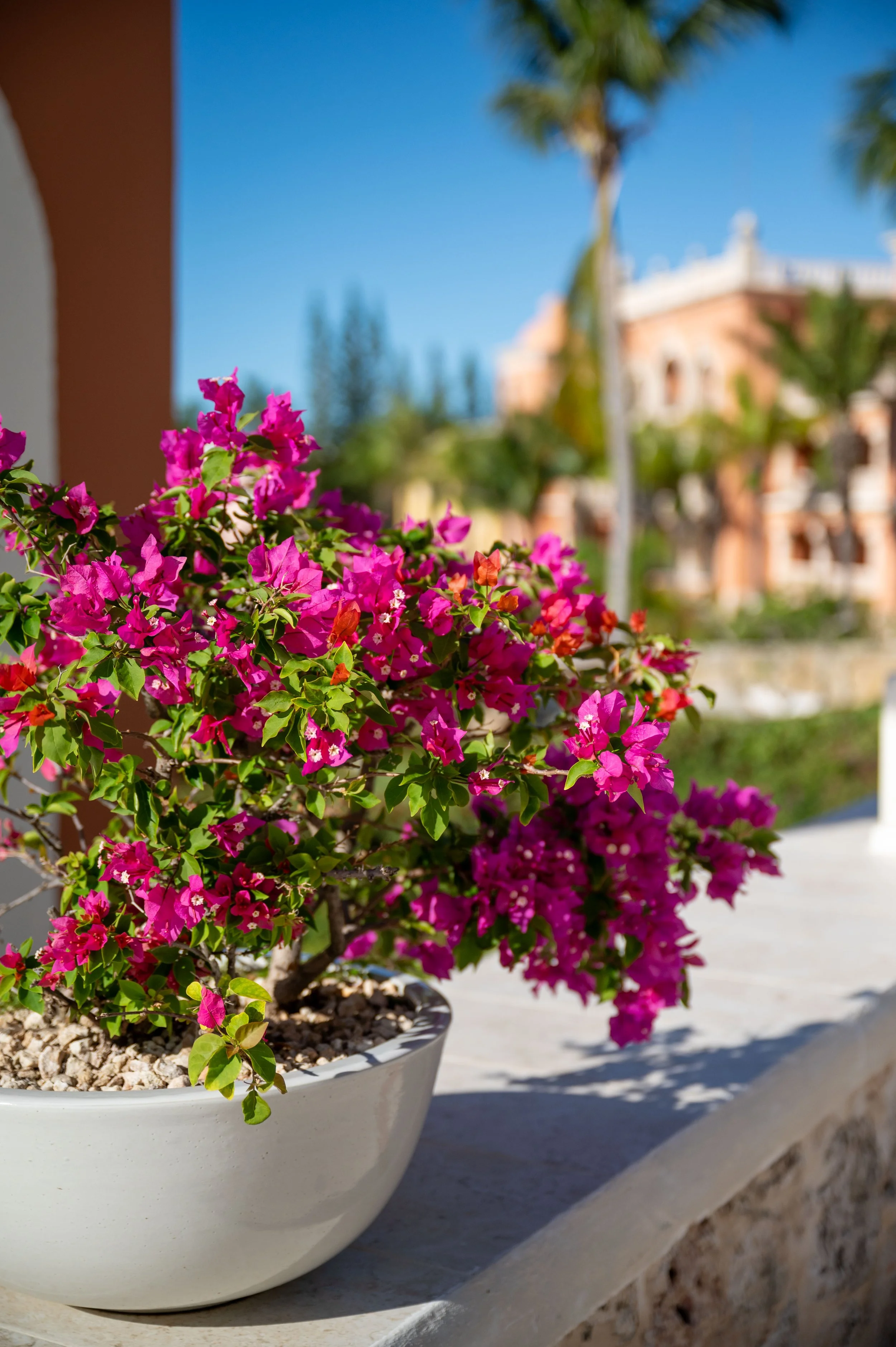 Dominican Republic-34.jpg