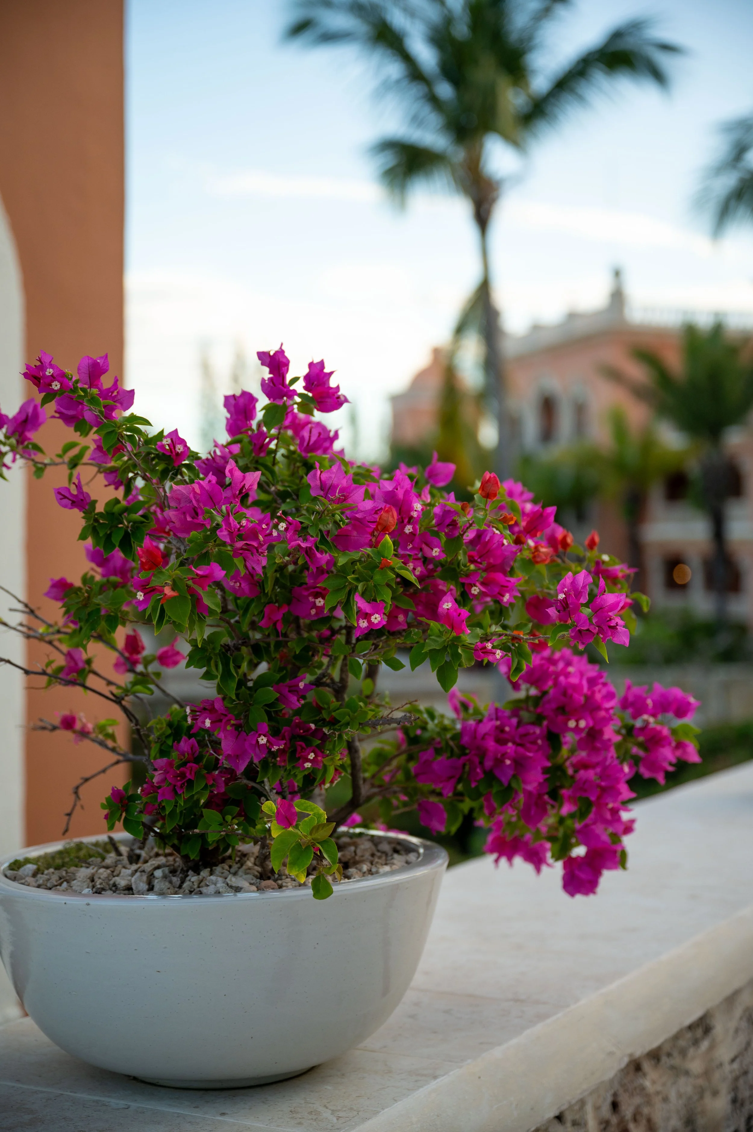 Dominican Republic-40.jpg