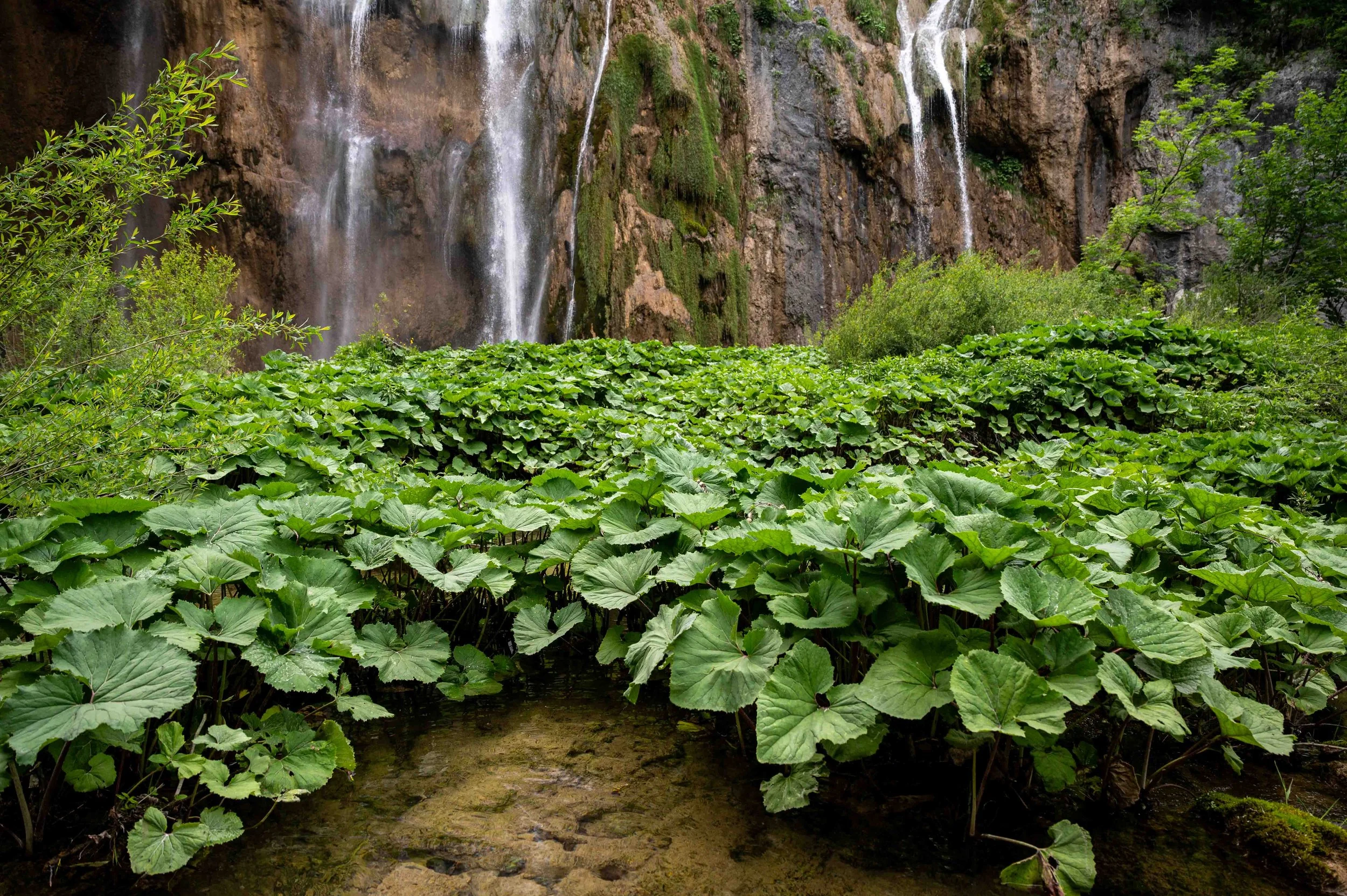 Plitvice-38.jpg