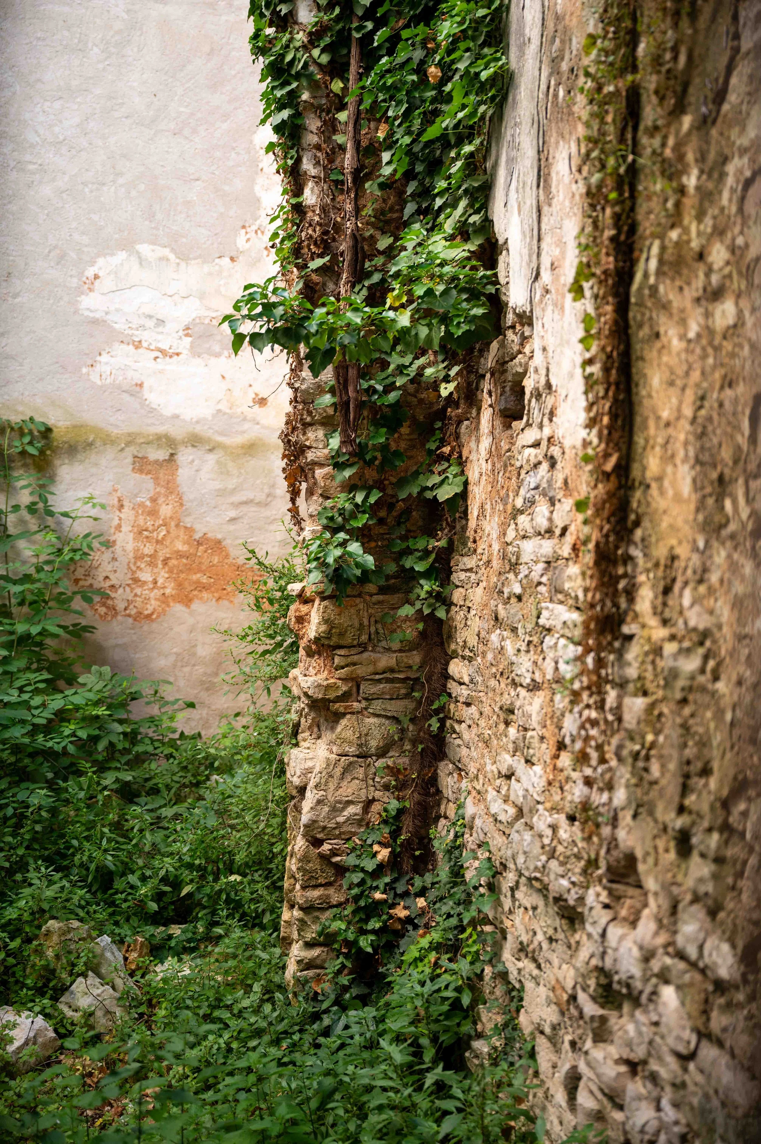 Bale, Croatia-9.jpg