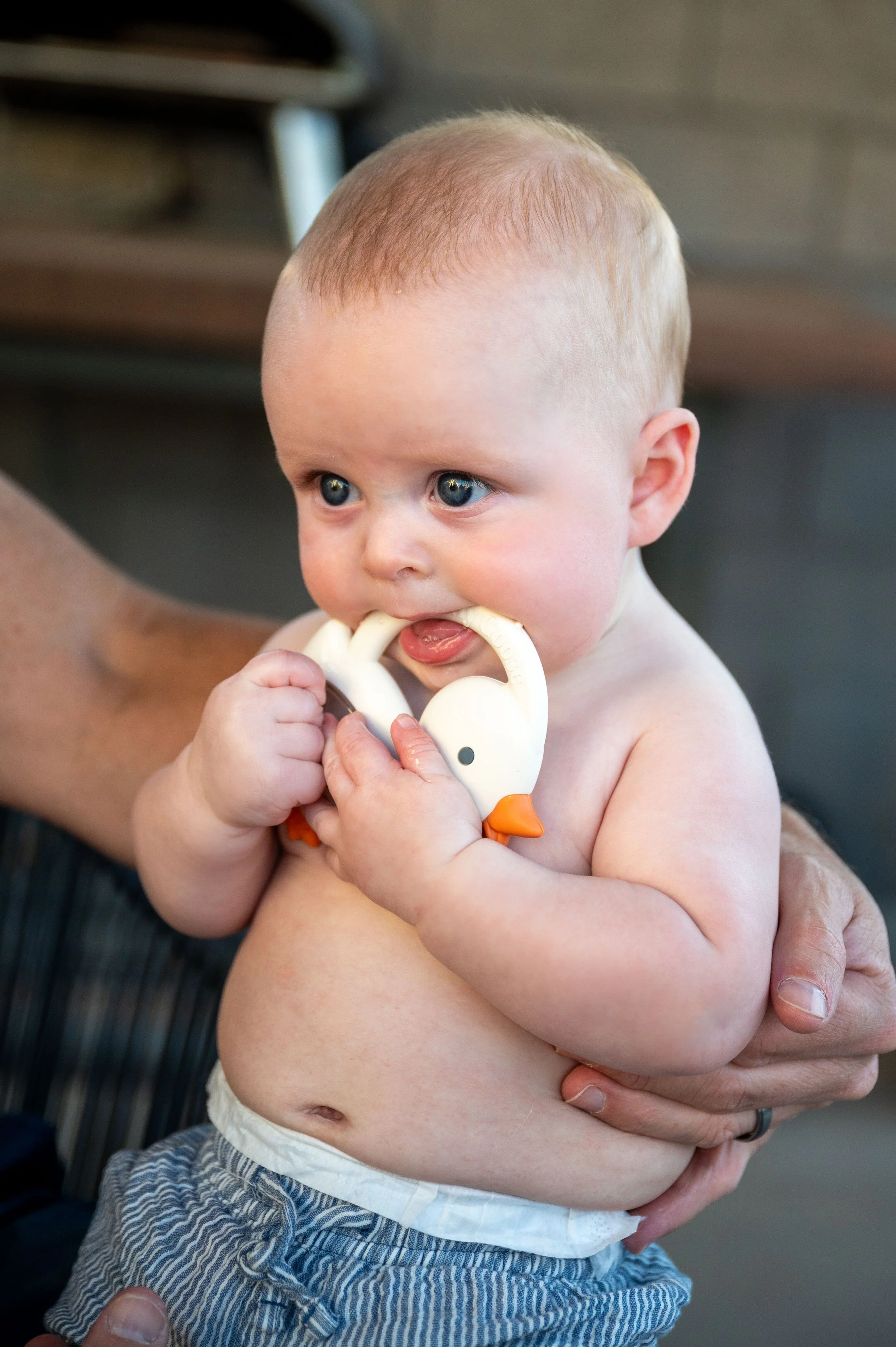 Graham and Silly Goose-4.jpg