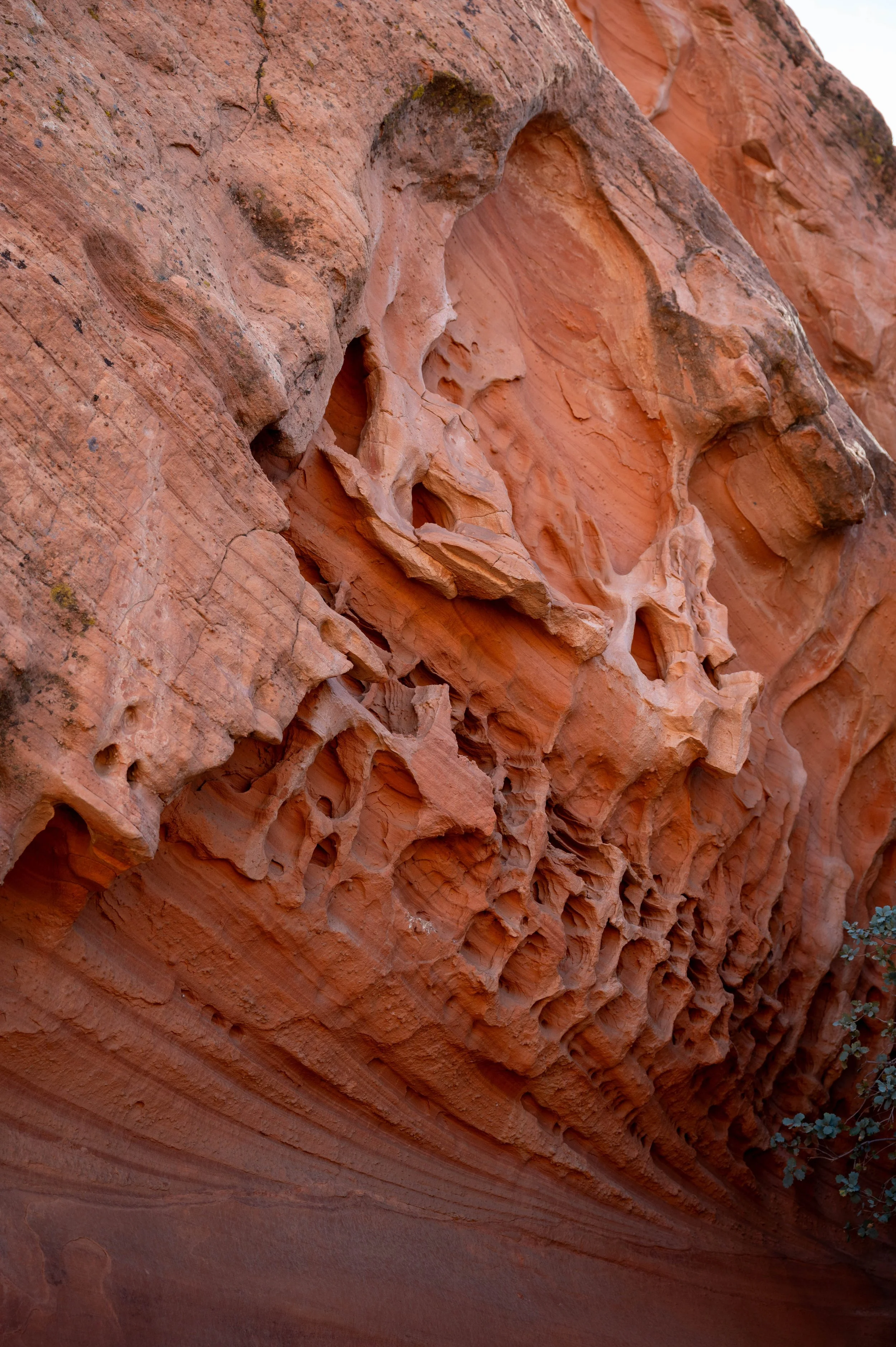 Elephant Arch Hike-4.jpg