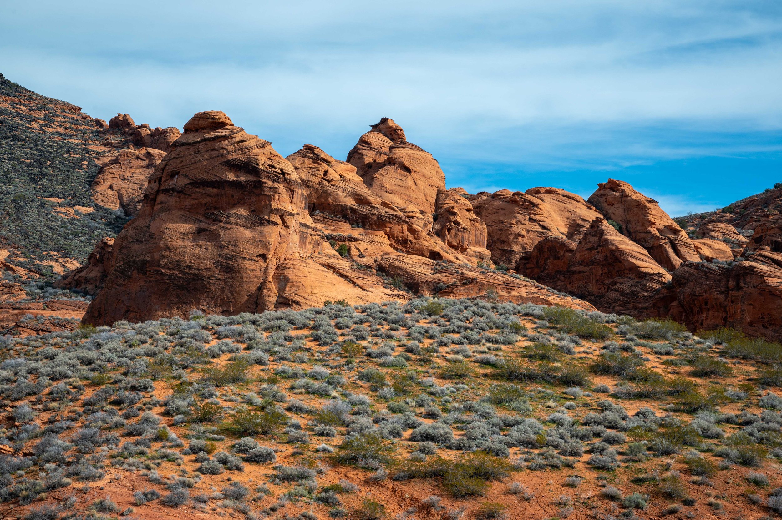 Elephant Arch Hike-9.jpg